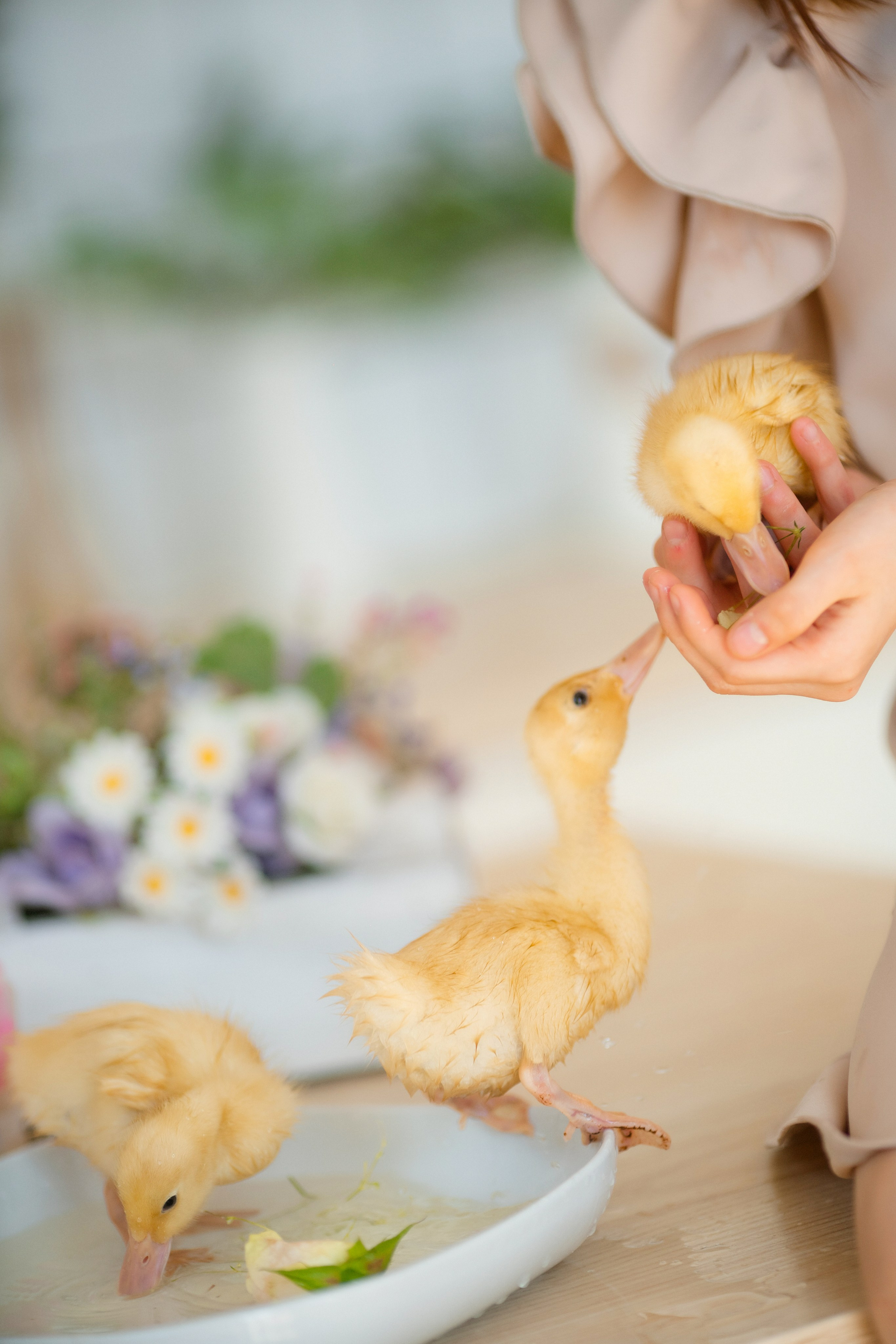 Ната и Мила. Семейный и женский фотограф. Видеомейкер в Новосибирске