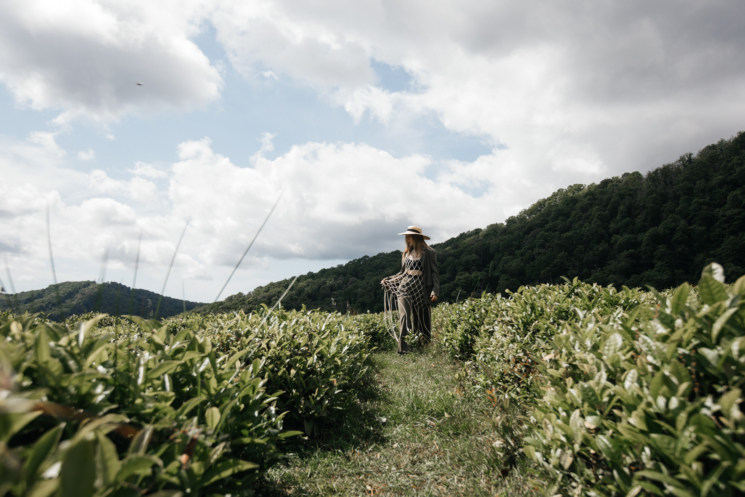 Tea plantation. Efimova Model Agency