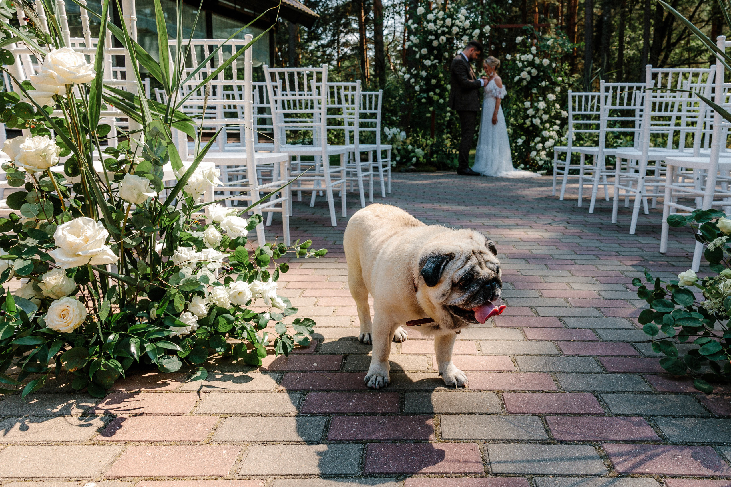 Костя Таня. Свадебный фотограф Тверь, Москва, Россия — Торопов Роман
