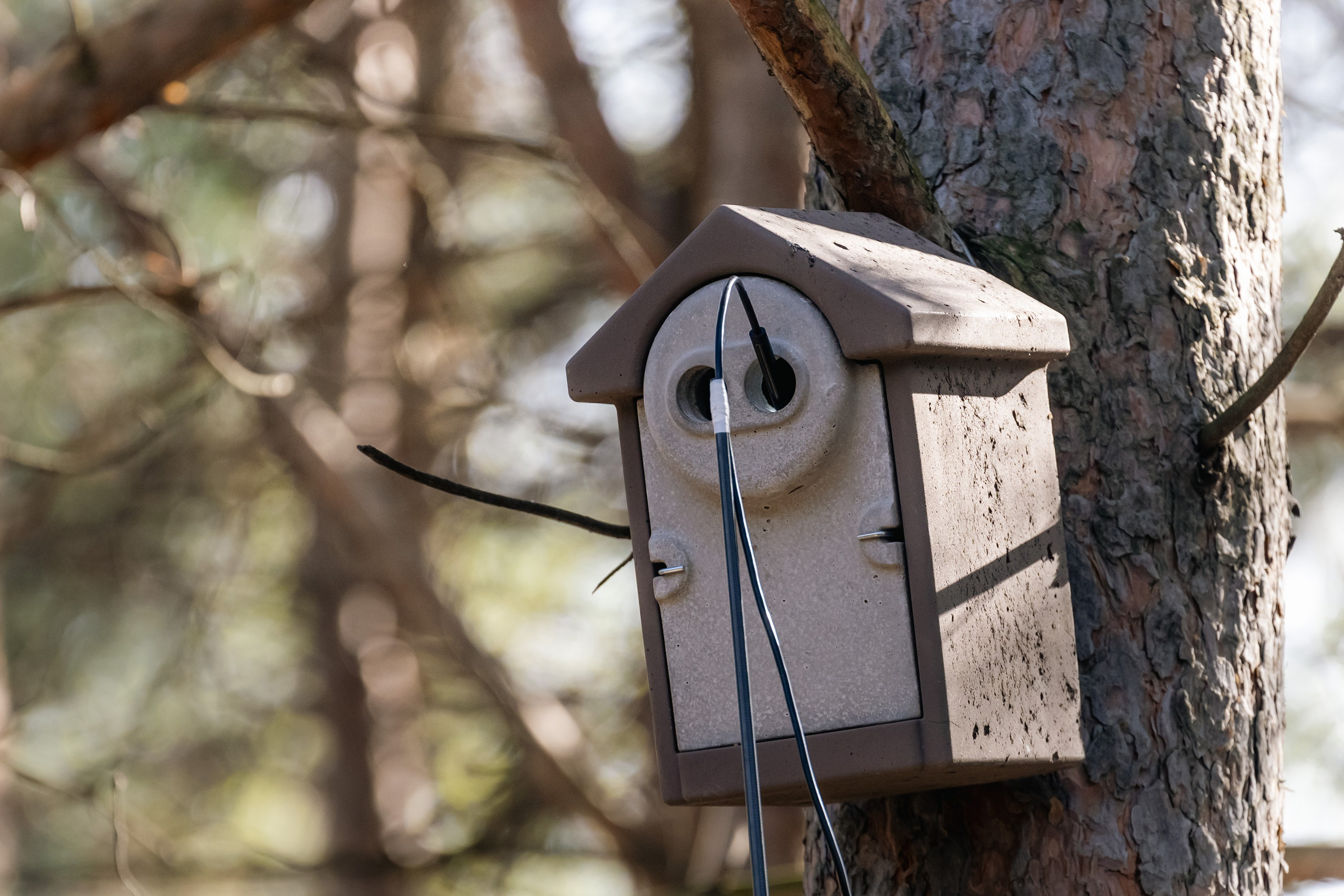 Георгий Кравченко. Инженер и орнитолог. Репортажный фотограф Наталья Лапцевич