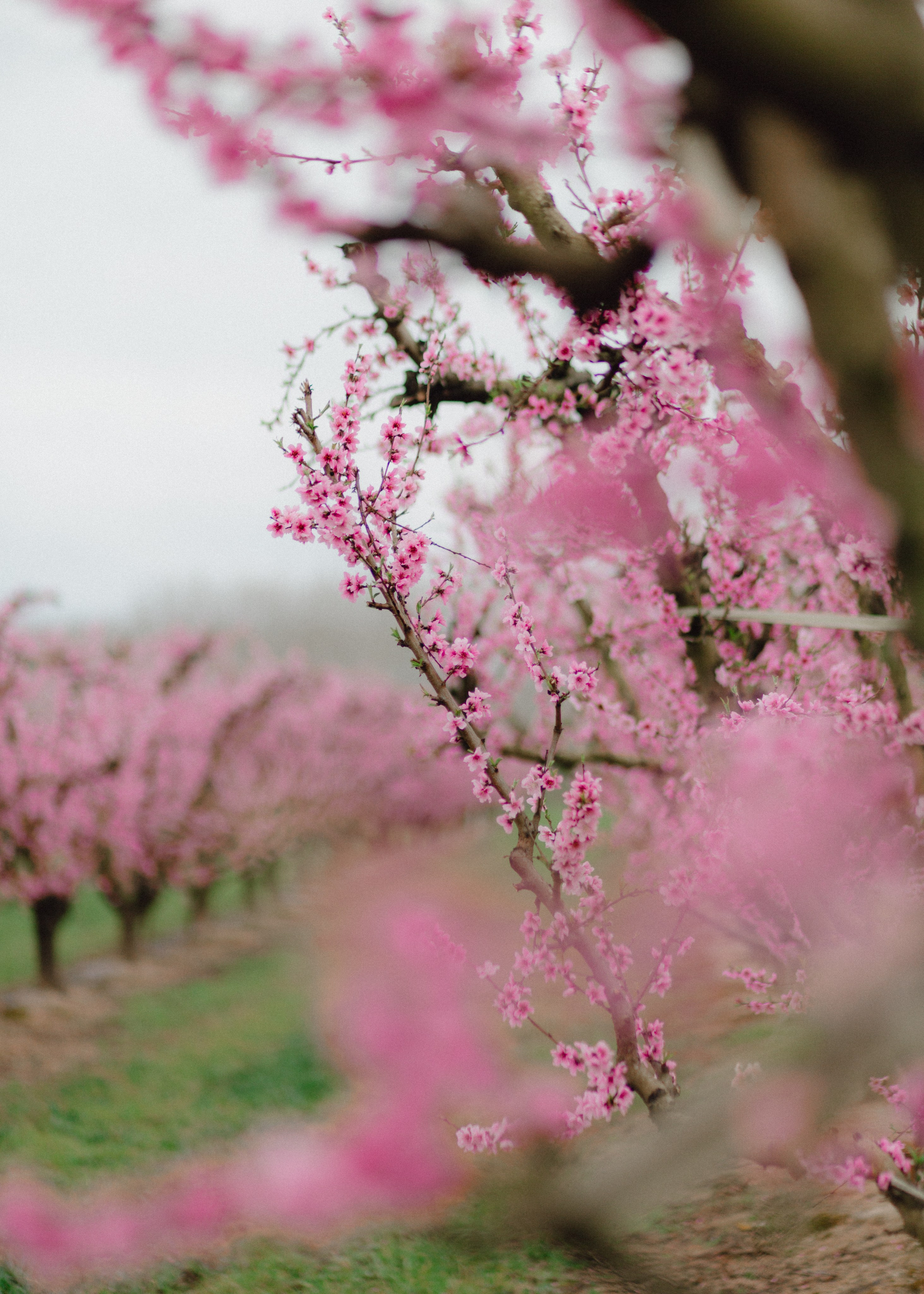 Sasha & Anton. Barbara Isaeva