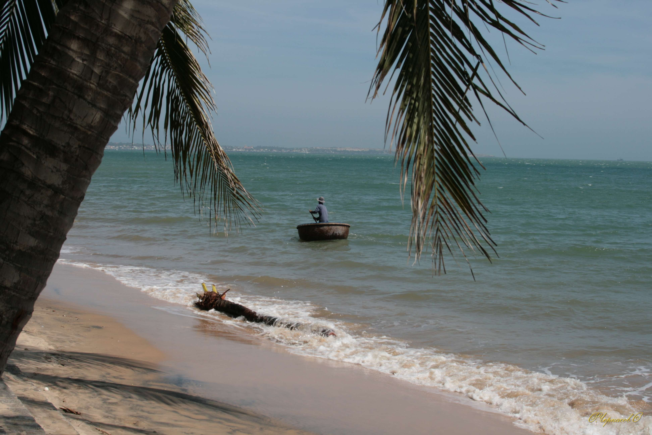 Вьетнам 2008 г. Улица, люди, жизнь…