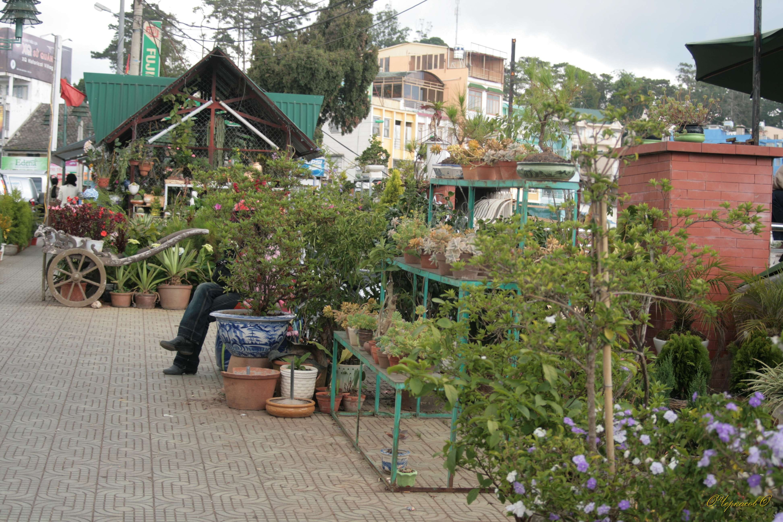 Вьетнам 2008 г. Улица, люди, жизнь…