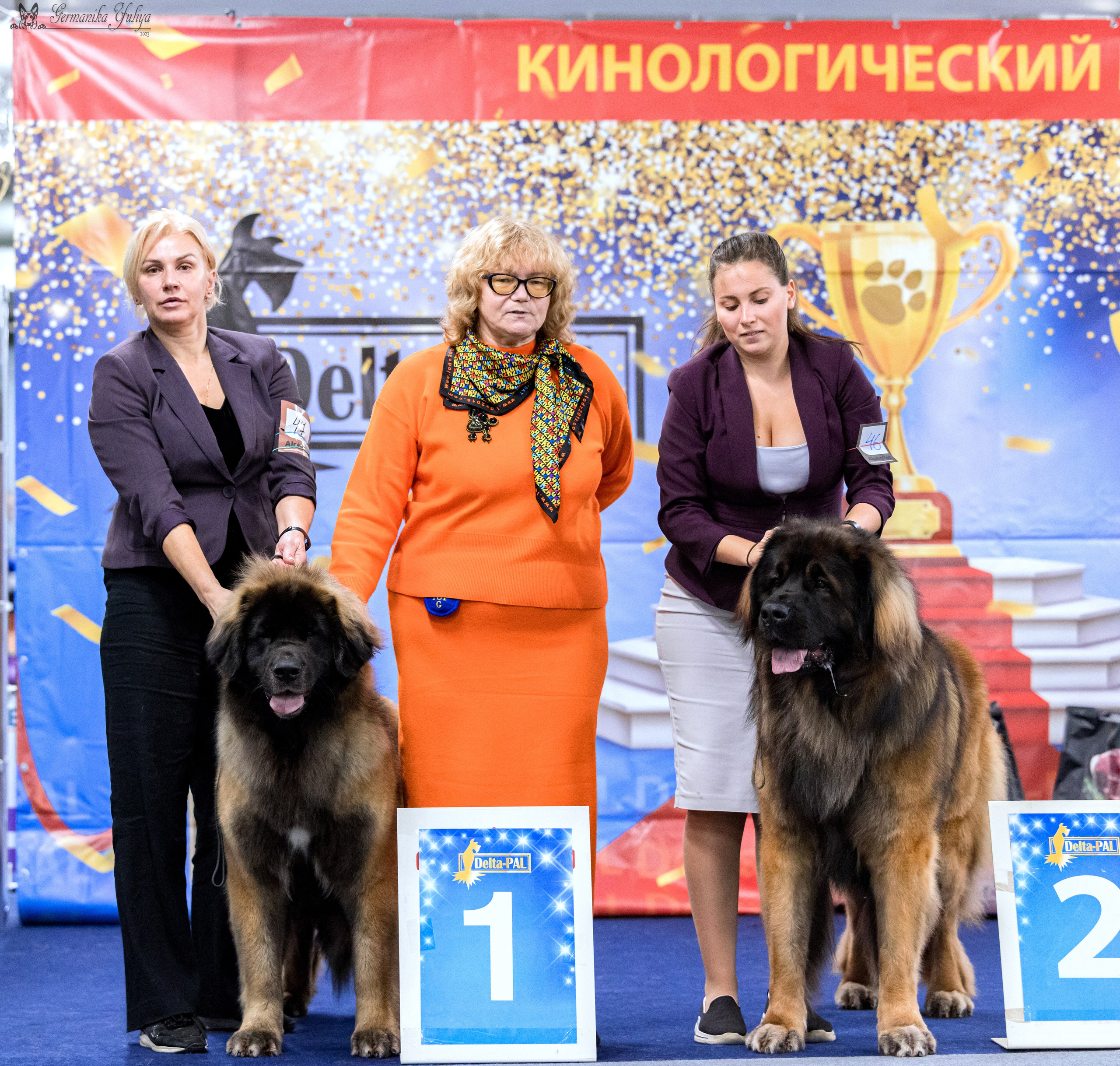 Сфера 29.10,Крокус 4.11,Сфера 12.11.2023. Фотограф-анималист Юлия Германика