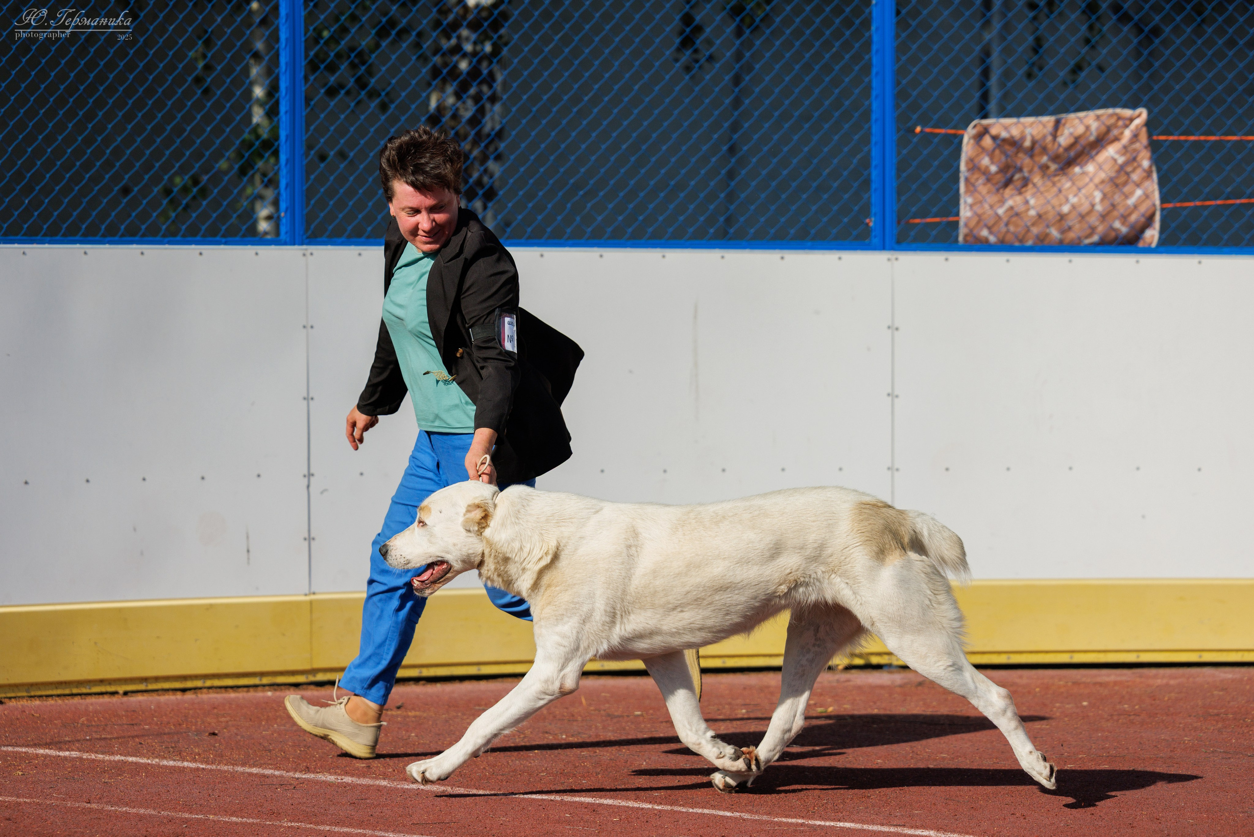 Коломна 30.08.2025. Фотограф-анималист Юлия Германика