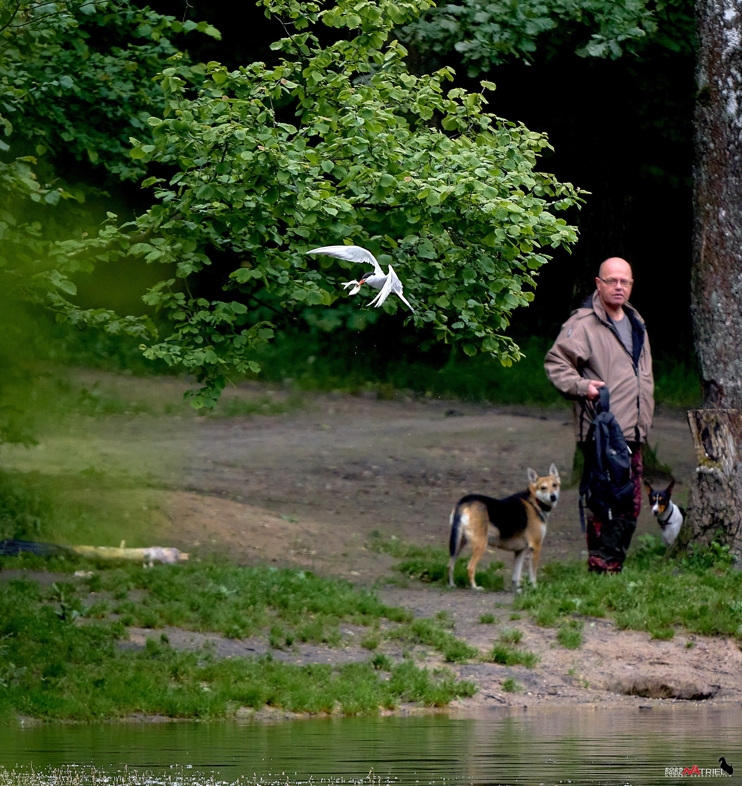 Съемка в парке на воде
