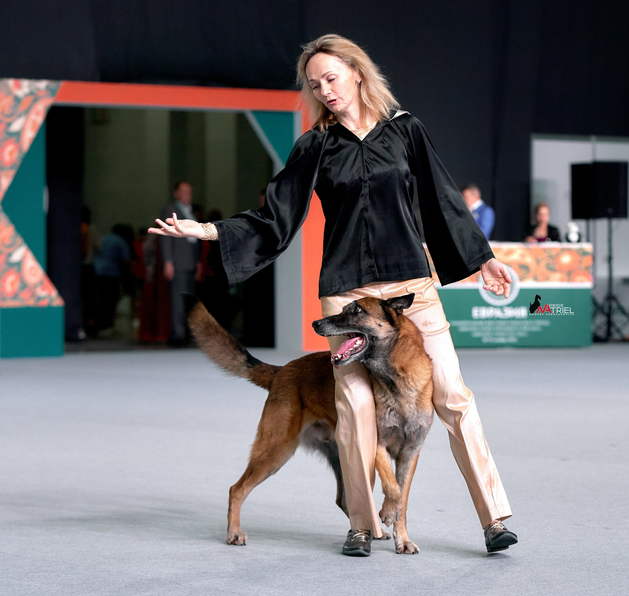 Обидиенс и танцы с собаками — галерея NATRIEL