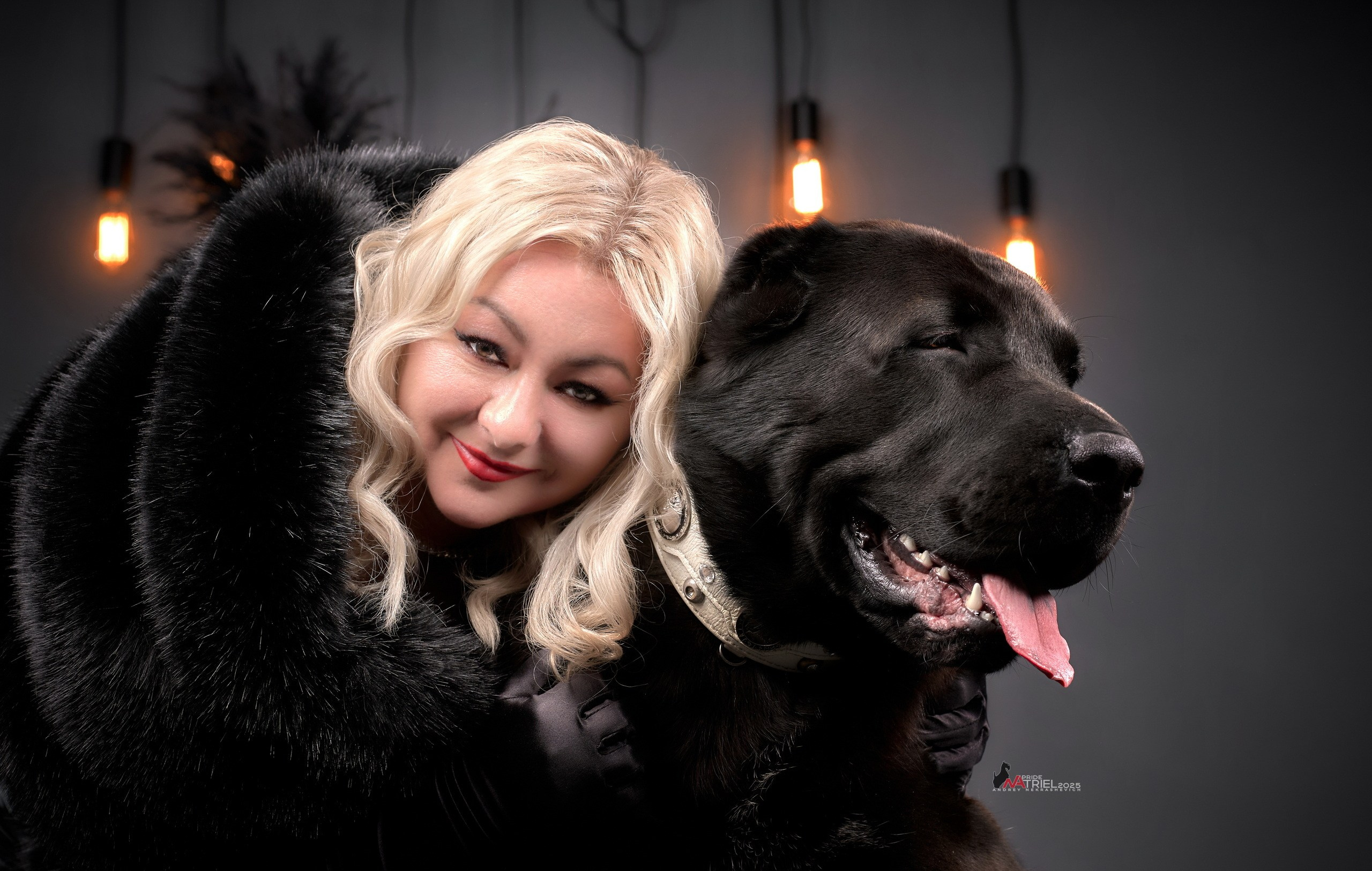 Съемка алабая в студии