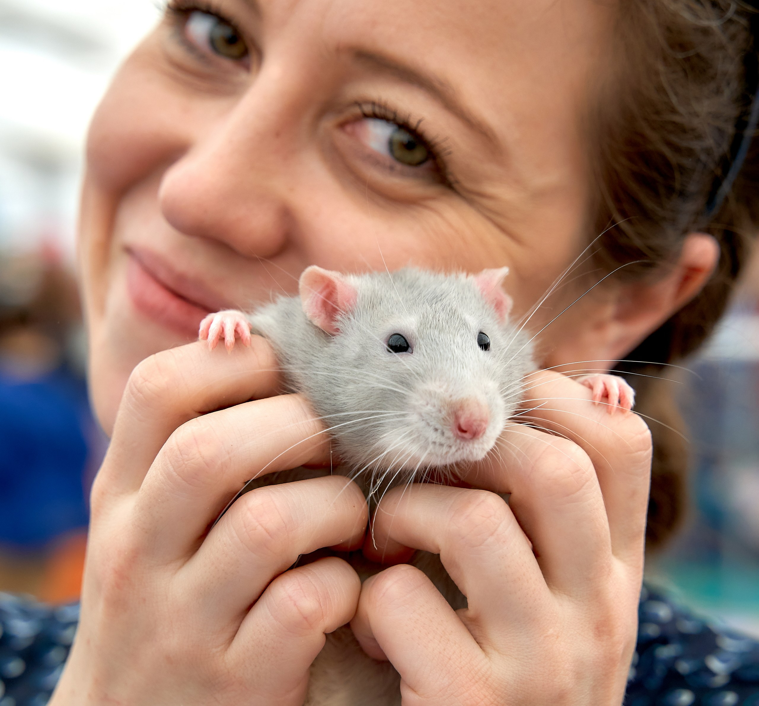 Животные — галерея NATRIEL