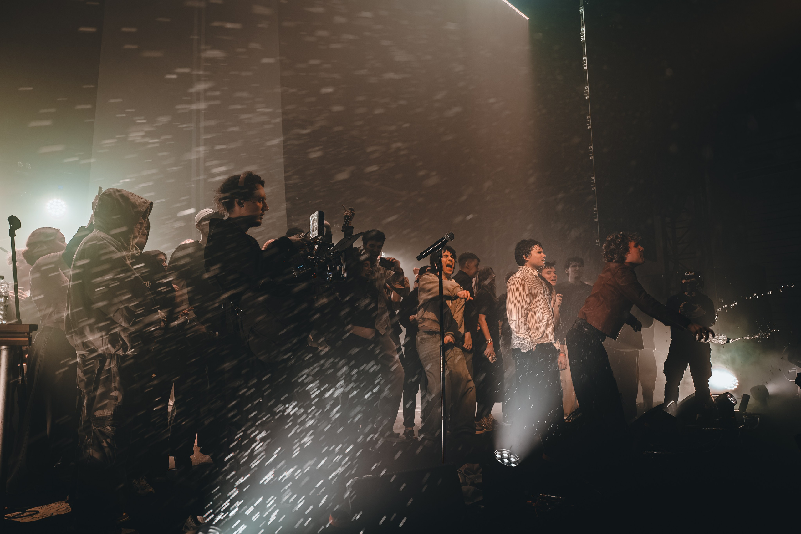 SALUKI. Фотограф Санкт-Петербурга