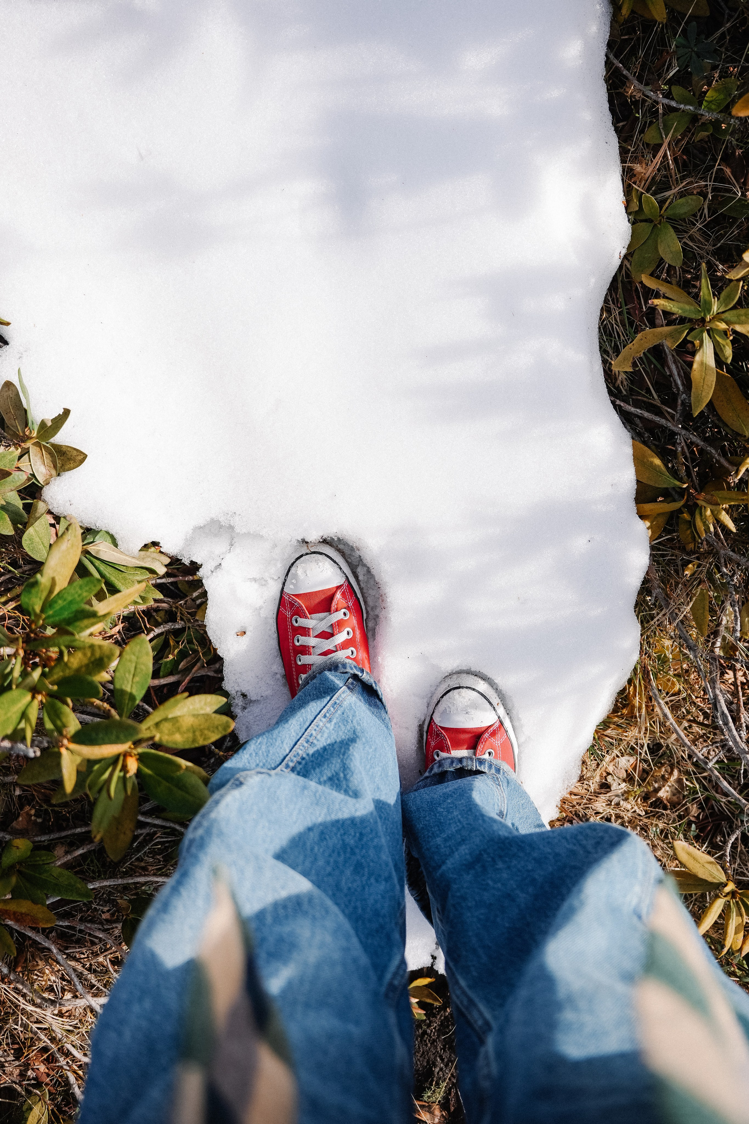 Роза Хутор ✽ Ноябрь. Репортажный фотограф | Роза Хутор Красная Поляна Сочи Сириус
