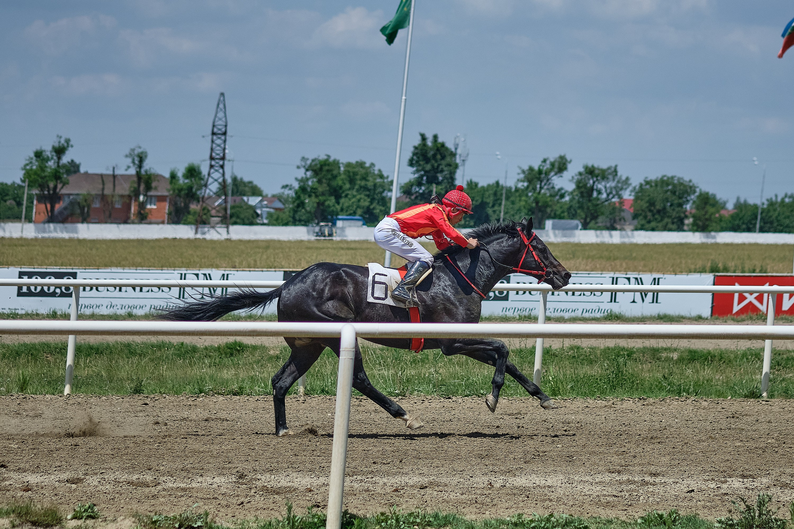 Скачки. Предметный фотограф в Краснодаре