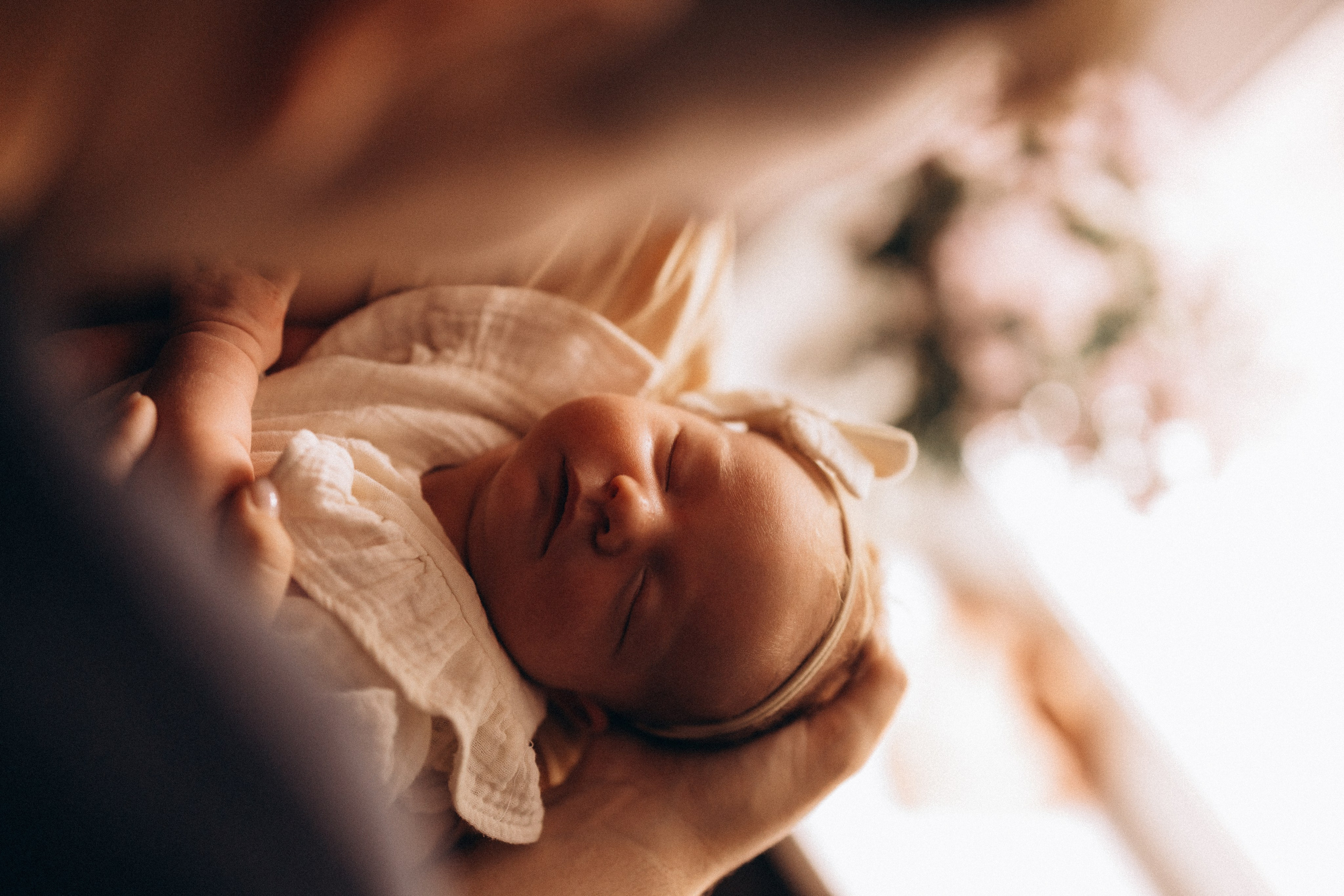 Василиса. Евгения Пелипас