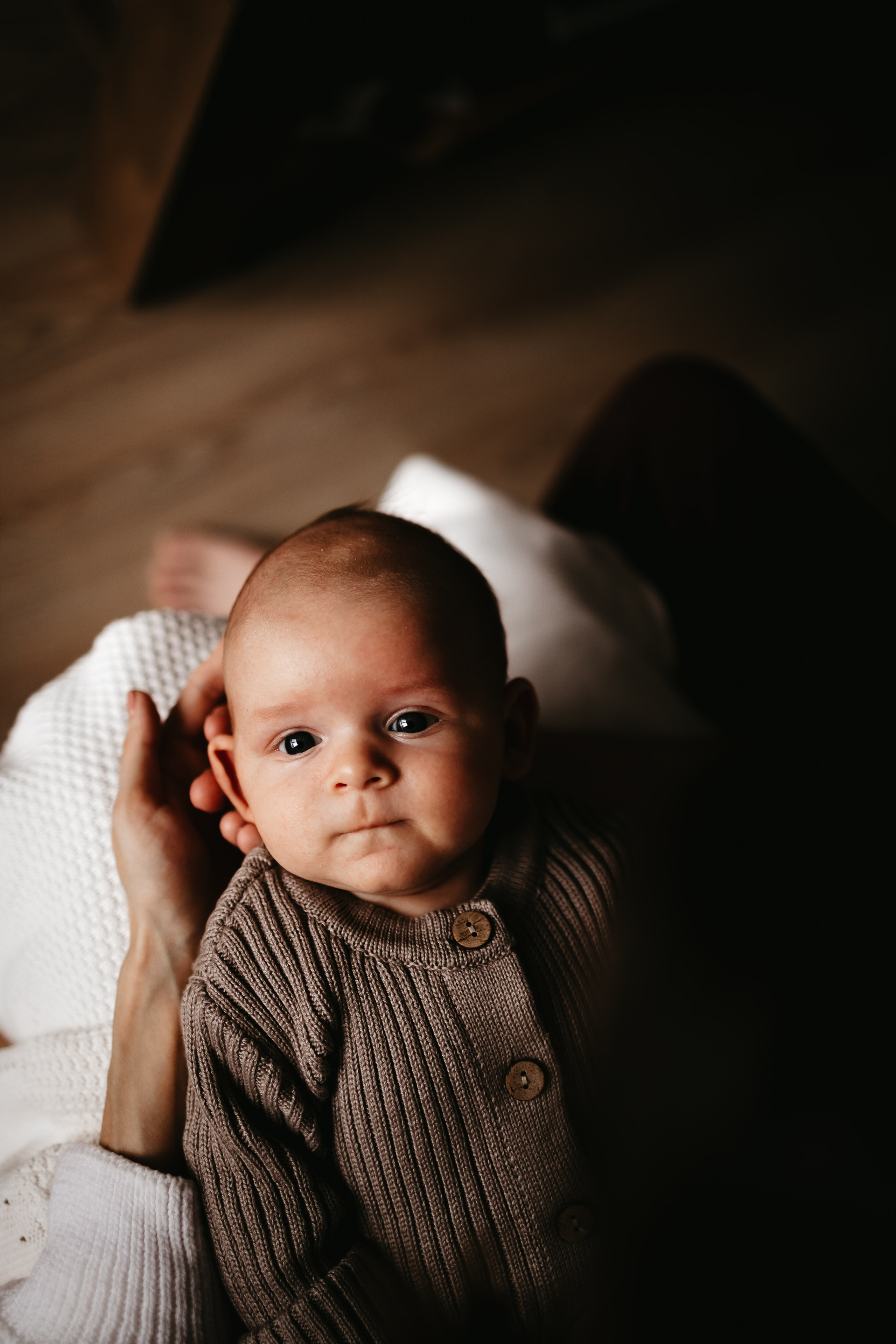 Лёва 2 месяца. Евгения Пелипас