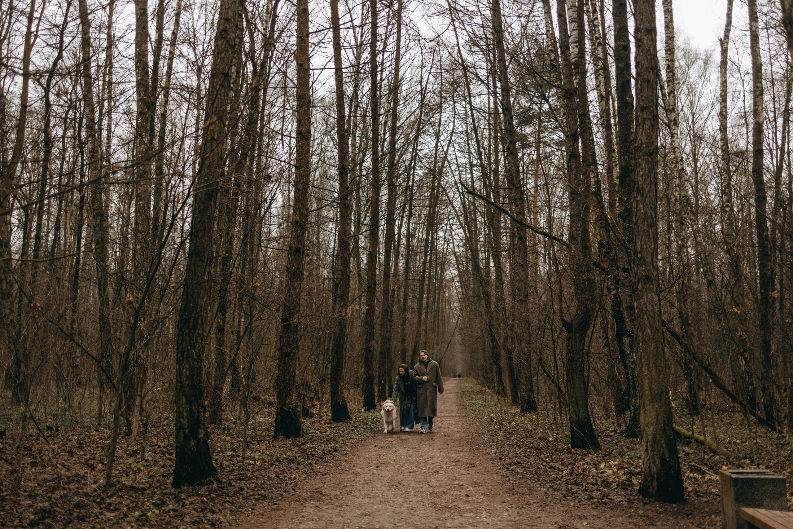 Лаки и его семья. Фотограф — Анималист | Санкт-Петербург