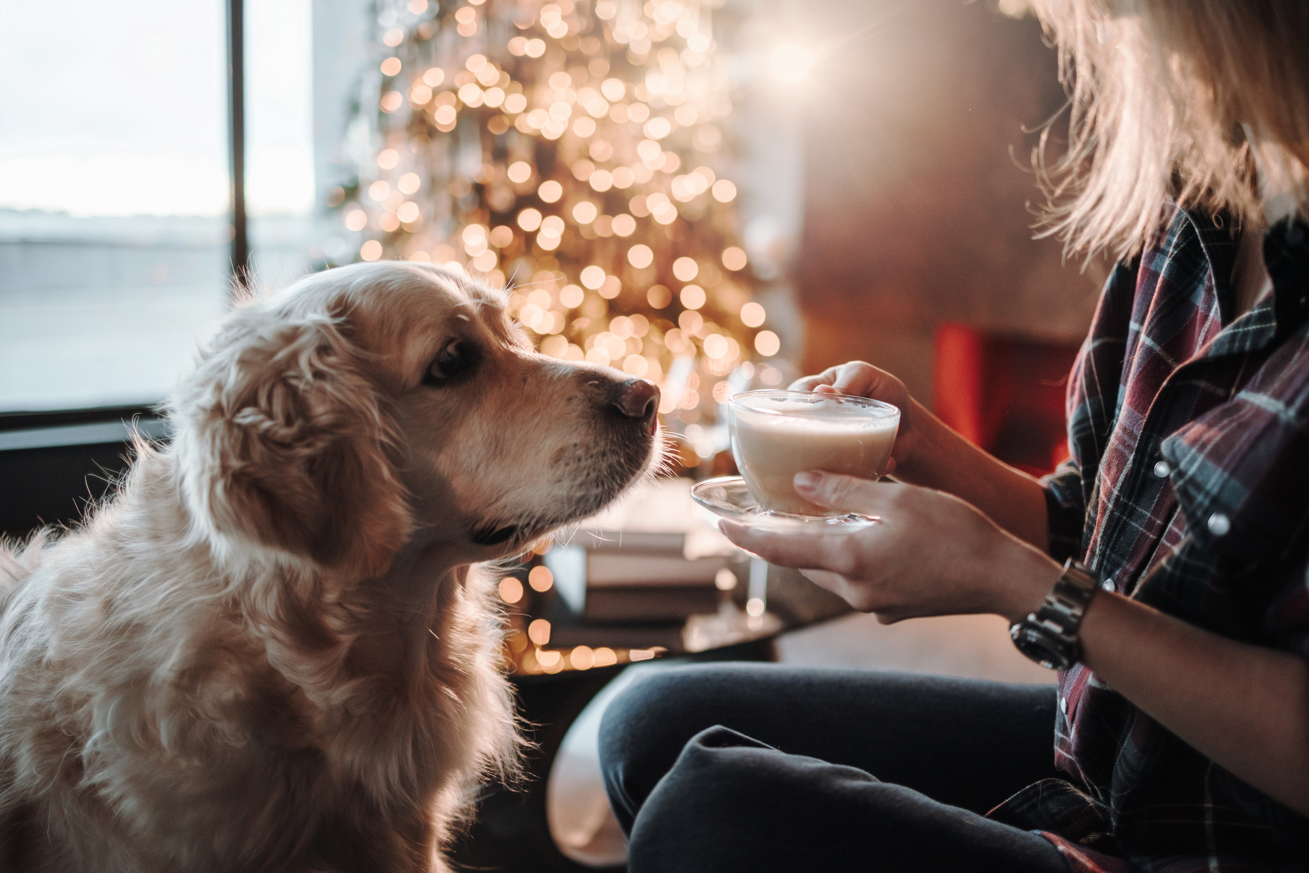 Вика и Рози. Фотограф — Анималист | Санкт-Петербург