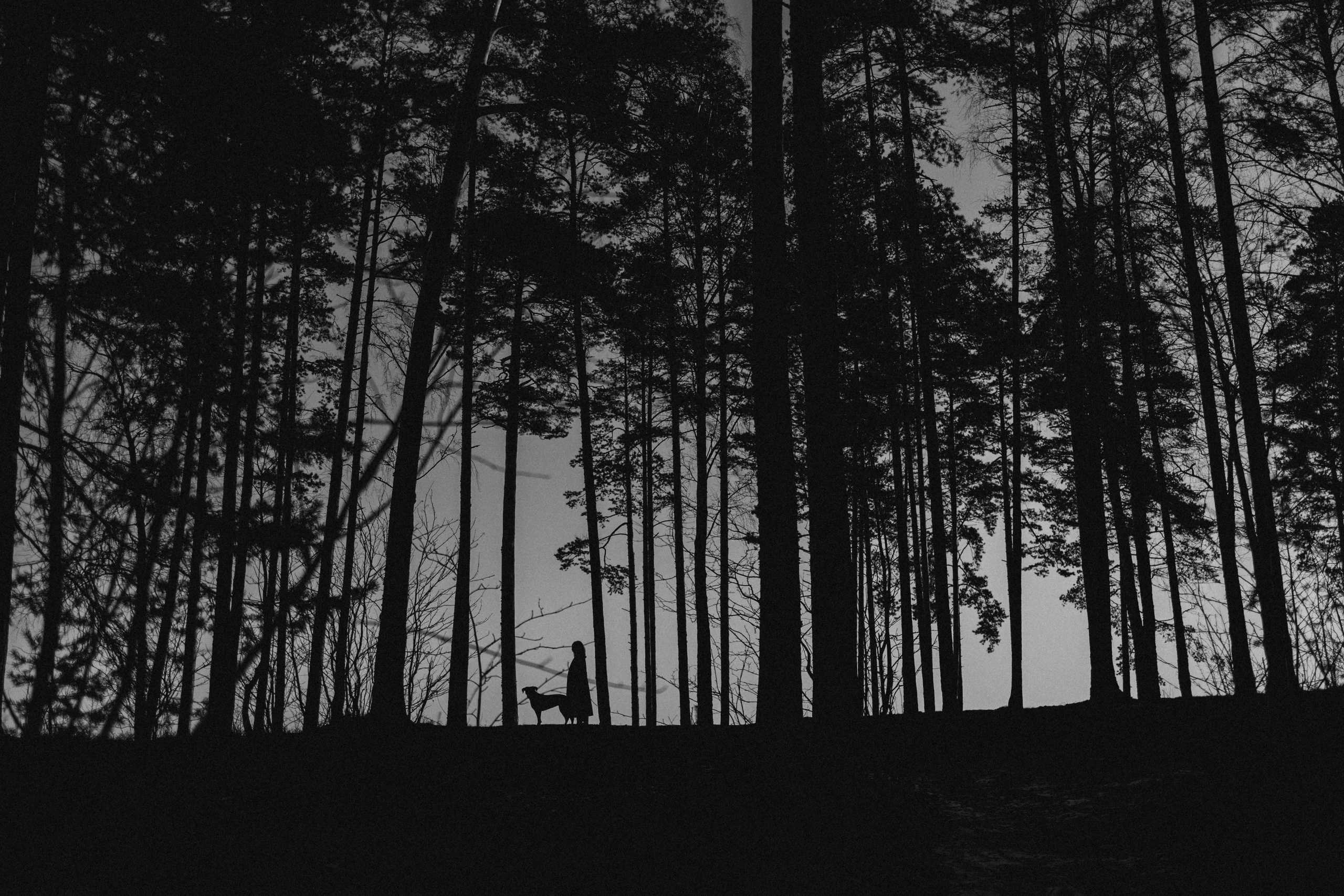 Анна и Лана. Фотограф — Анималист | Санкт-Петербург