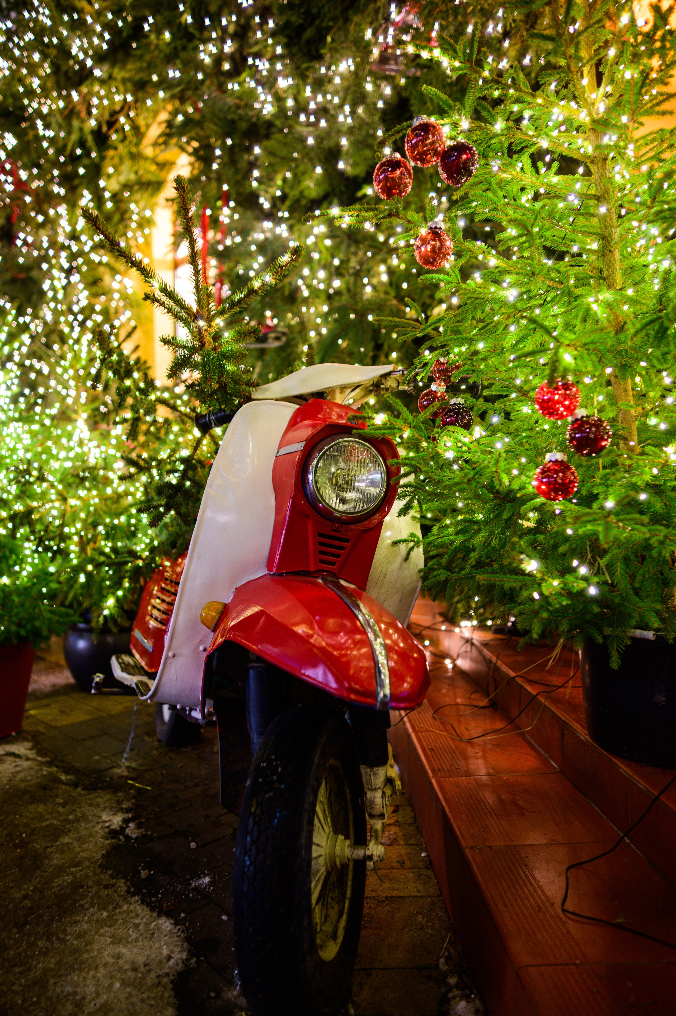 Зимняя Калининградская область. Фотосъемка и видеосъемка в Калининграде Liveemotion.pro