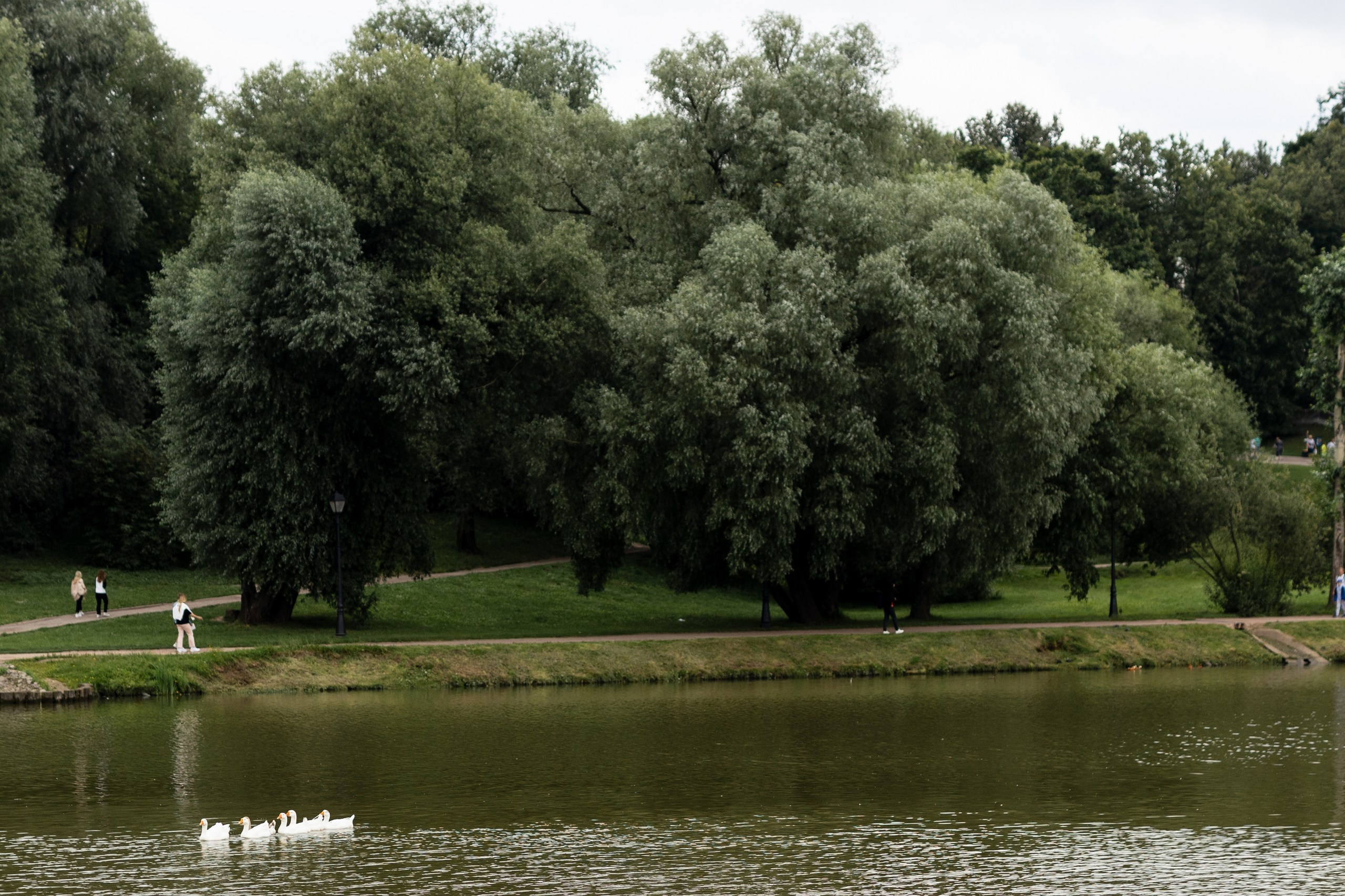 M&K часть нашей истории. Свадебный фотограф Екатерина Герк