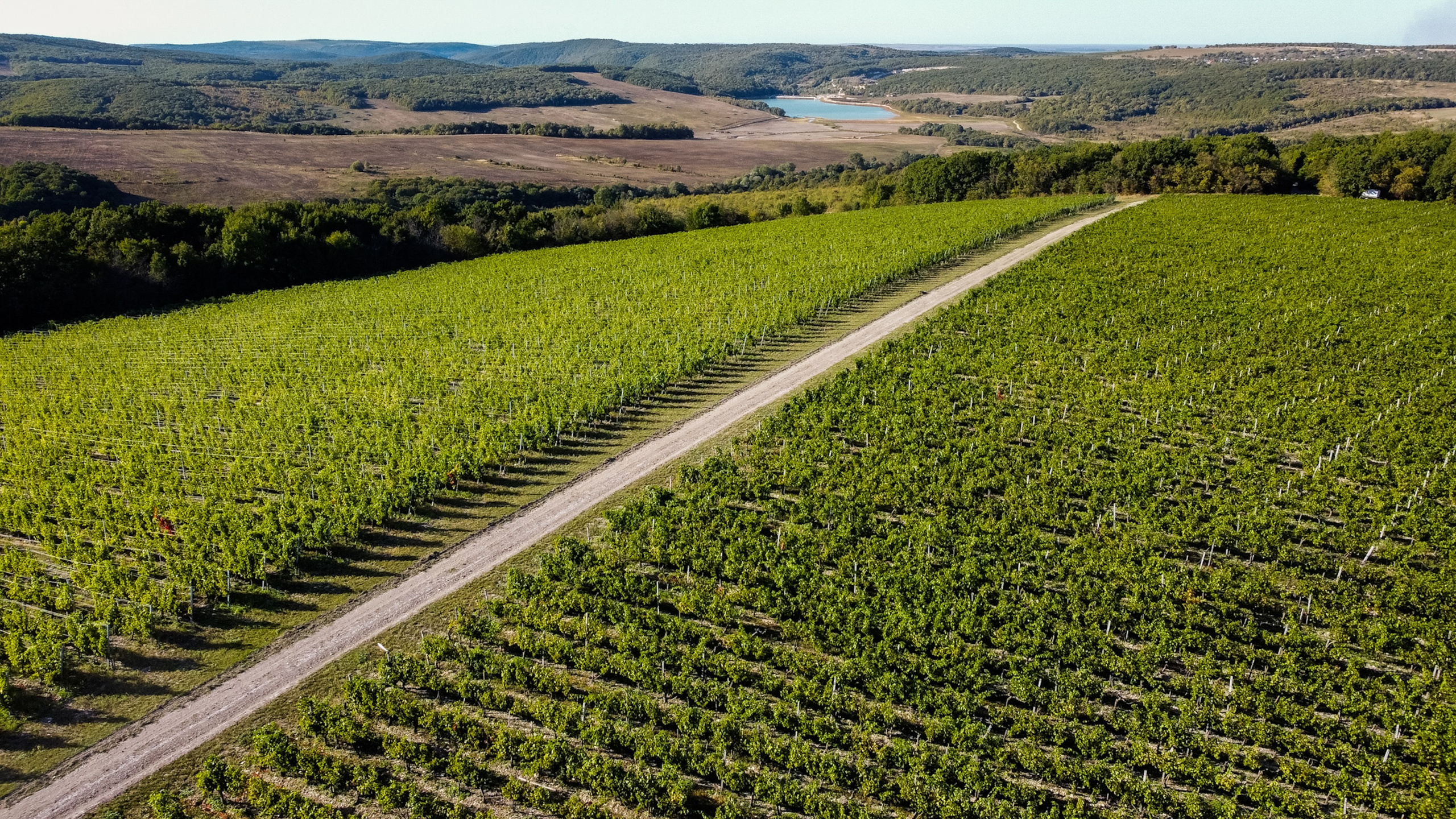 Винодельня Chateau le Grand Vostock. Репортажный и предметный Фотограф в Москве