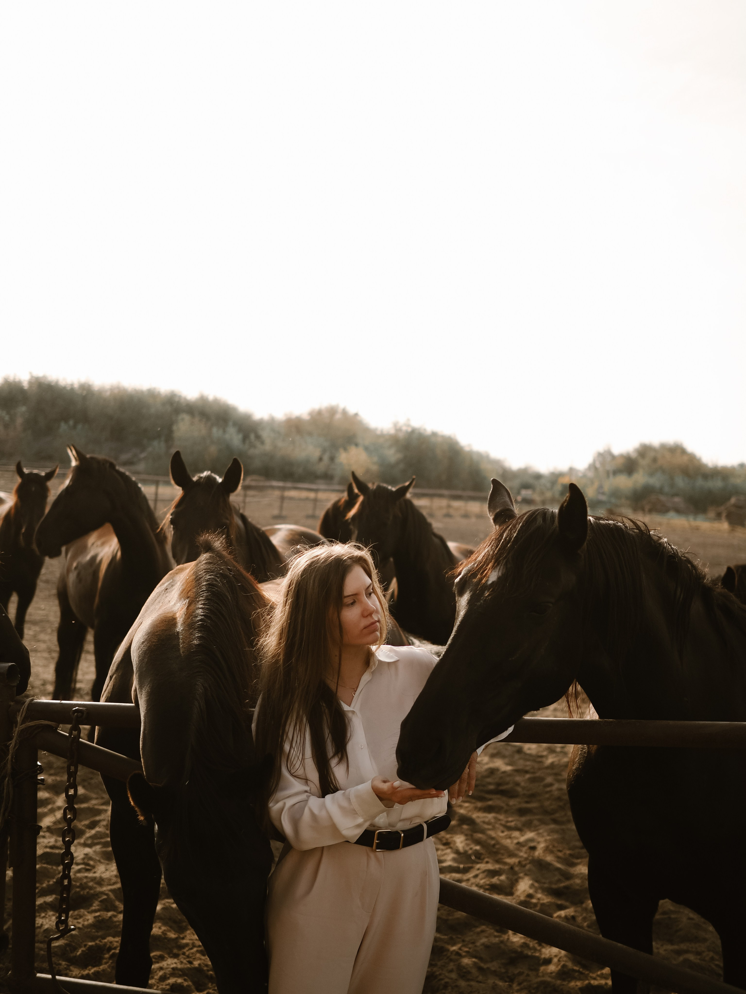 Фотопроект с лошадьми. Фотограф Рязань. Семейный Свадебный фотограф