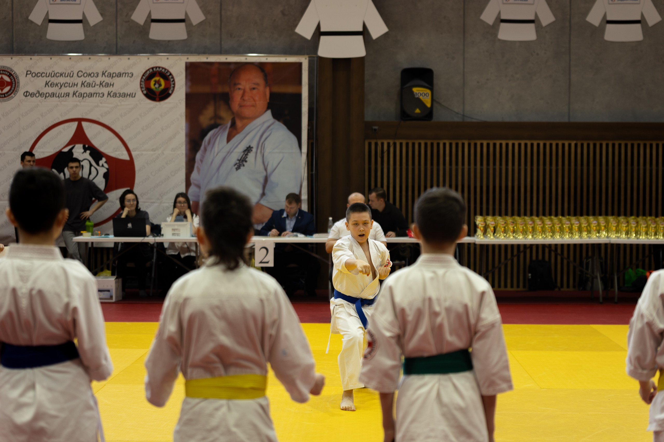 Карате. Ката. Главная