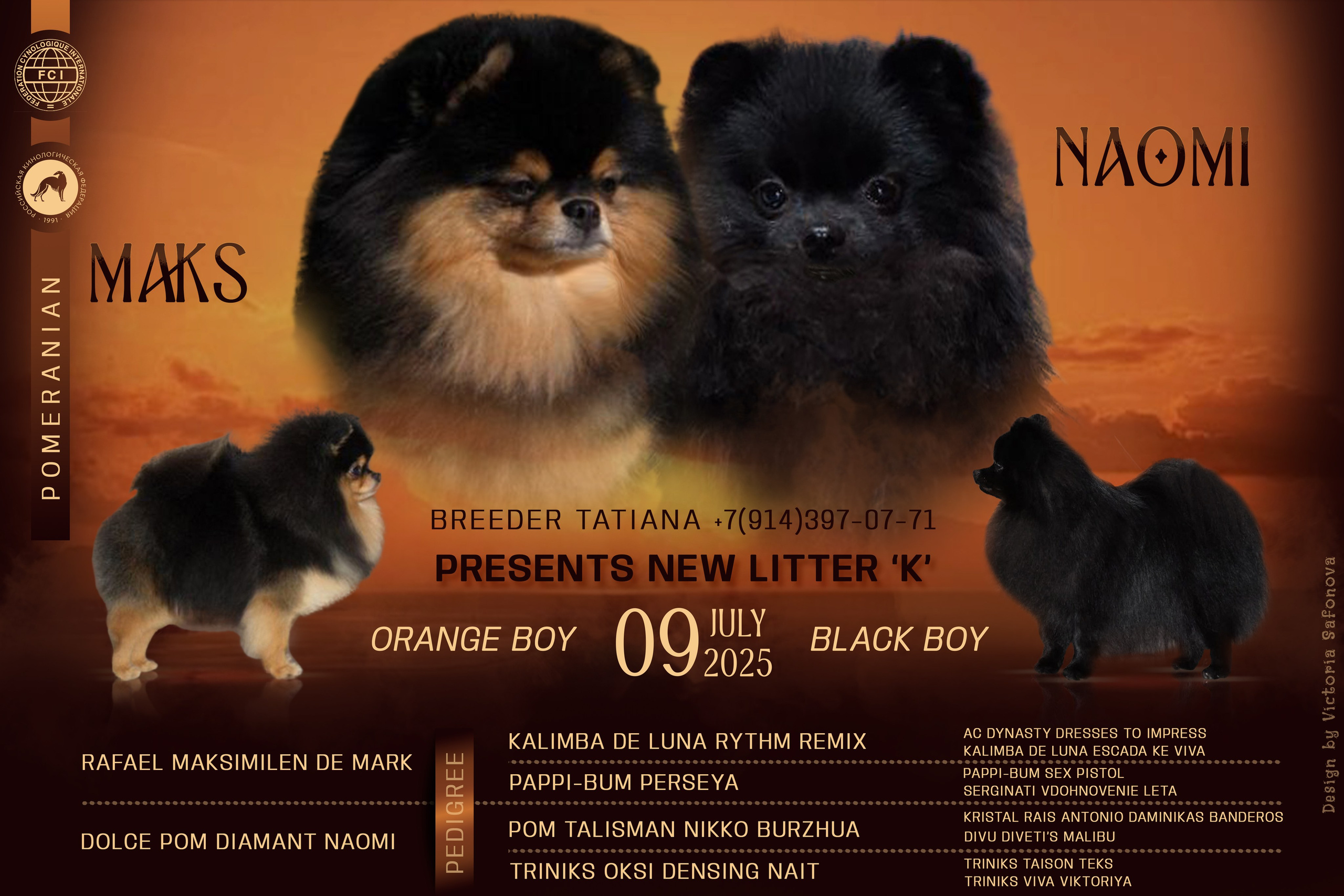 Анонсы помётов. Фотограф анималист Благовещенск. Сафонова Виктория