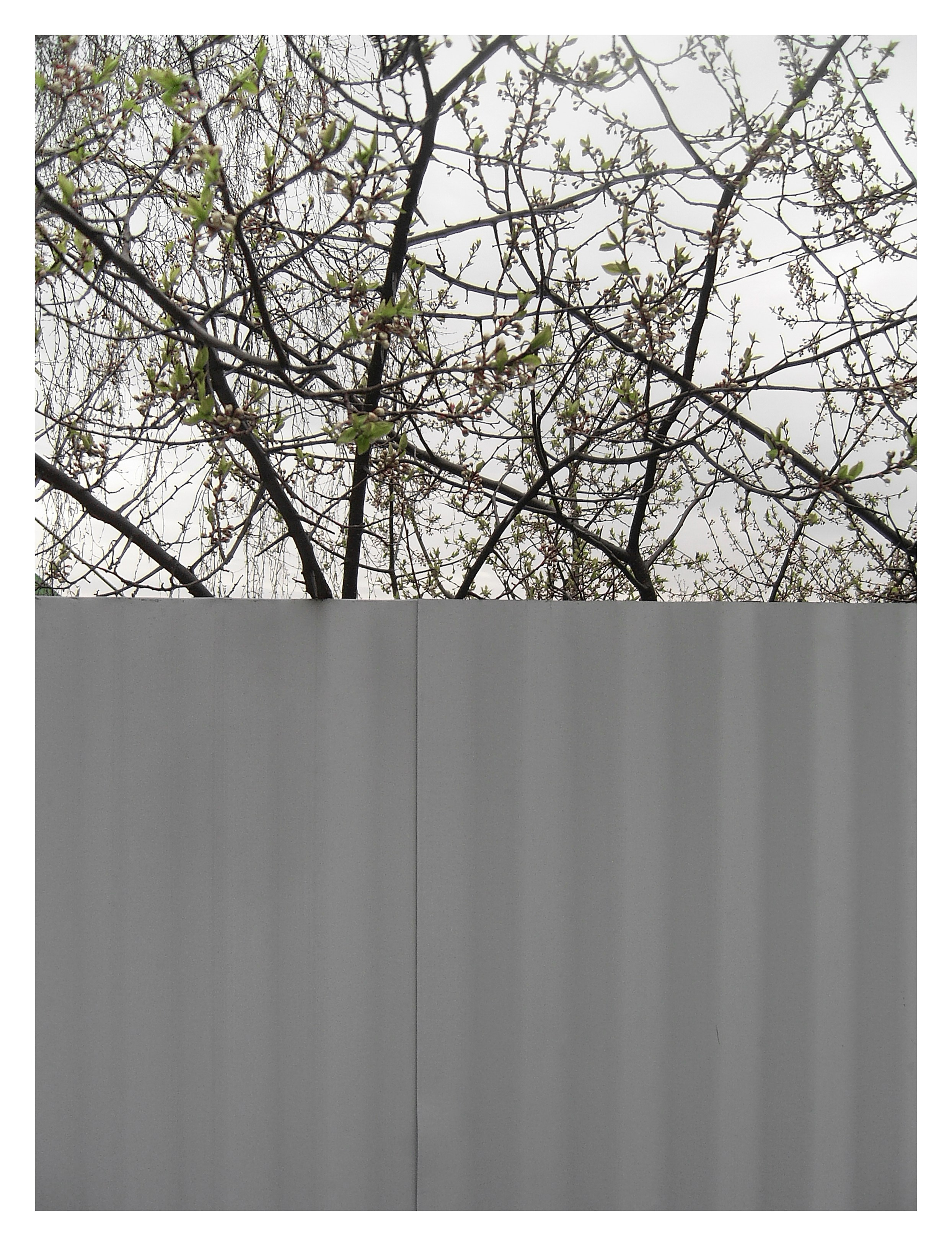 ДАЧА. Фотограф Манакова Ольга