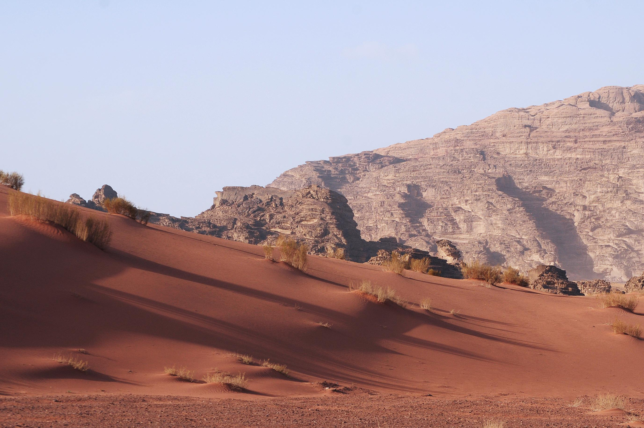 Jordan. Модельные тесты, loookbook, портретный фотограф, фотосъемка Москва