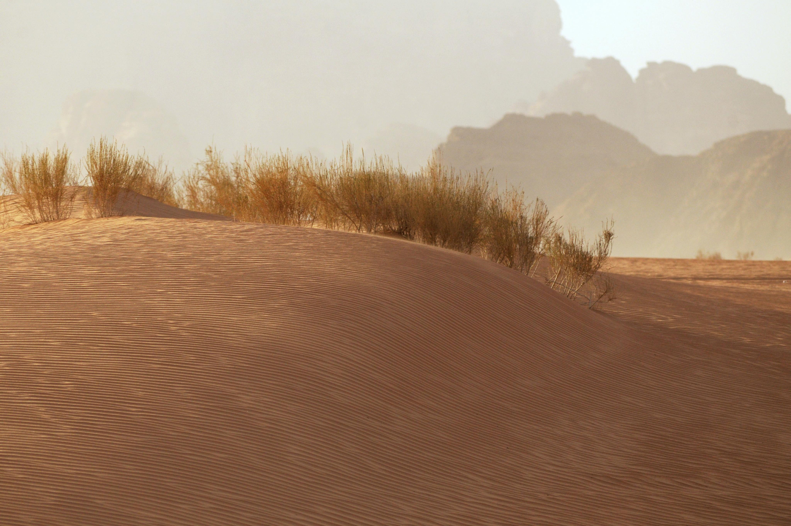 Jordan. Модельные тесты, loookbook, портретный фотограф, фотосъемка Москва