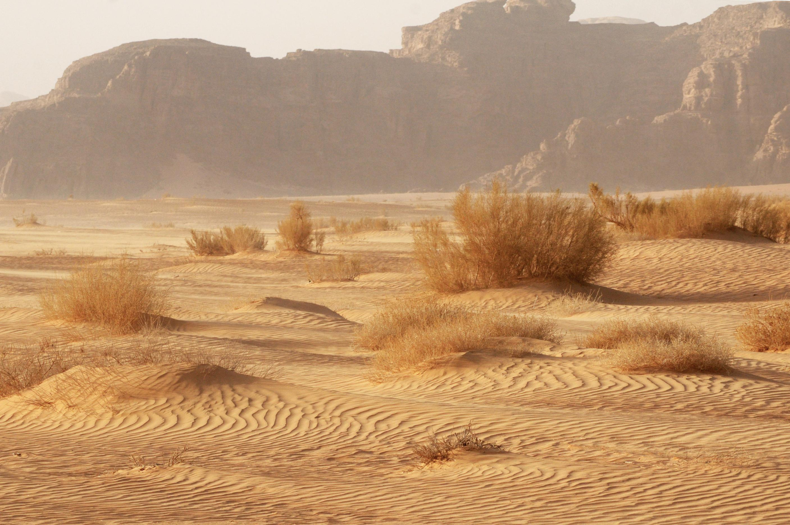 Jordan. Модельные тесты, loookbook, портретный фотограф, фотосъемка Москва