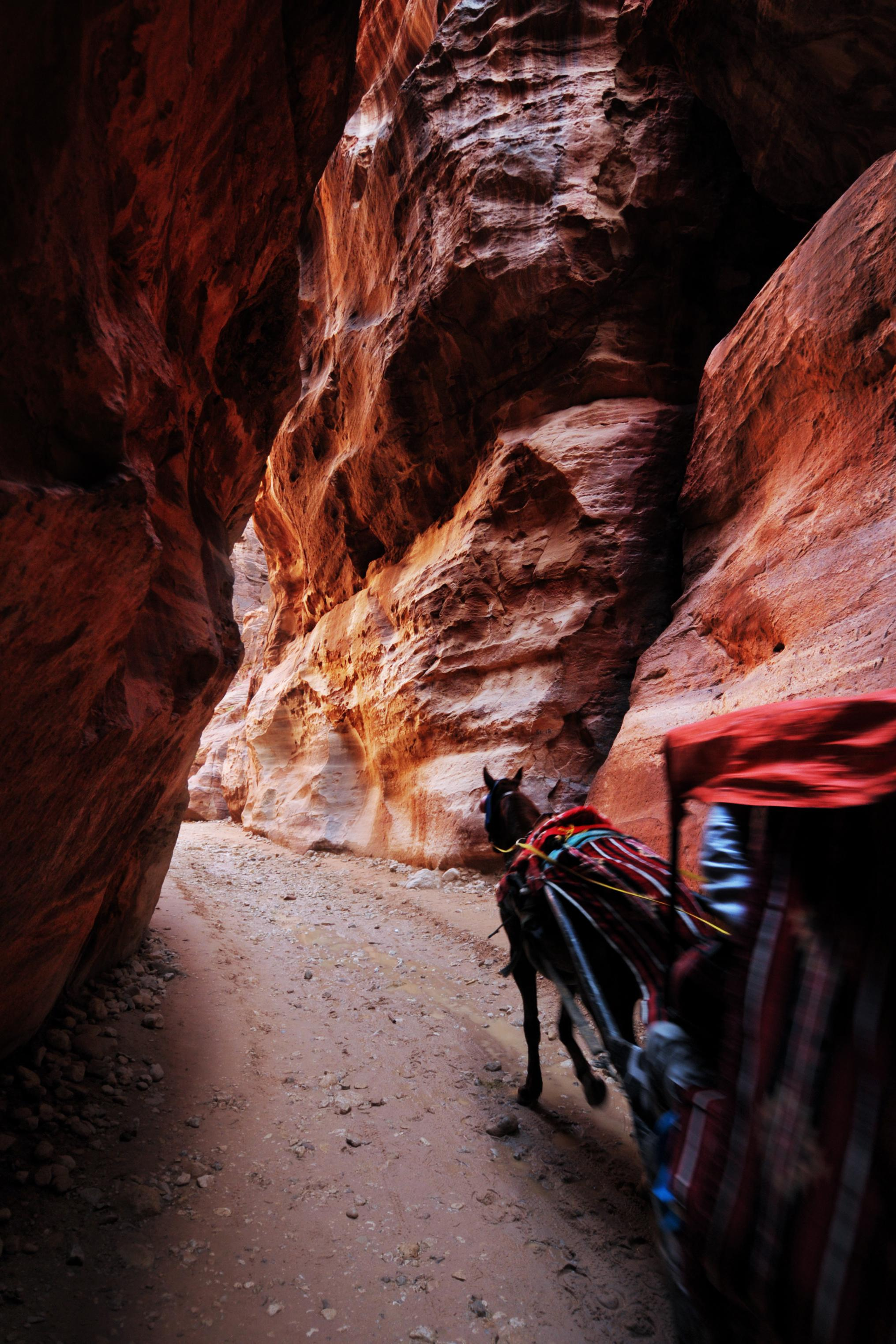 Jordan. Модельные тесты, loookbook, портретный фотограф, фотосъемка Москва