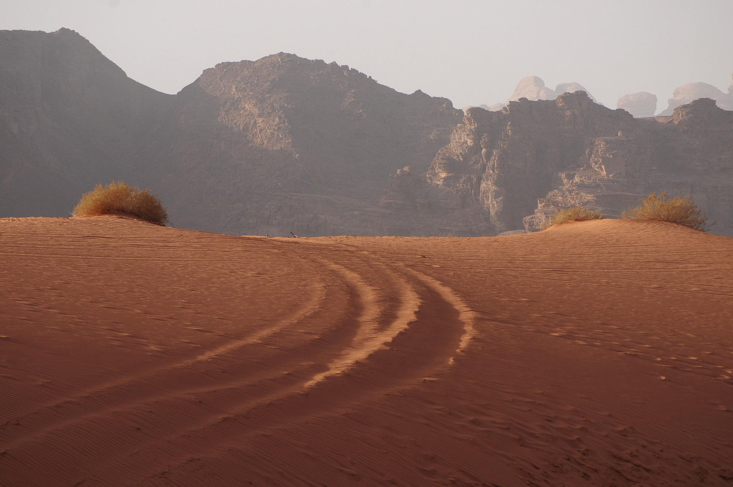 Jordan. Модельные тесты, loookbook, портретный фотограф, фотосъемка Москва