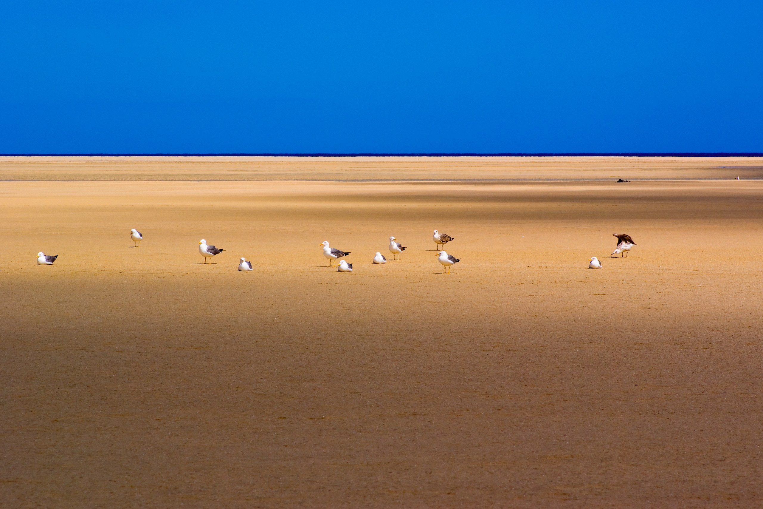 Пейзажная фотография. Авторские стильные фотокартины