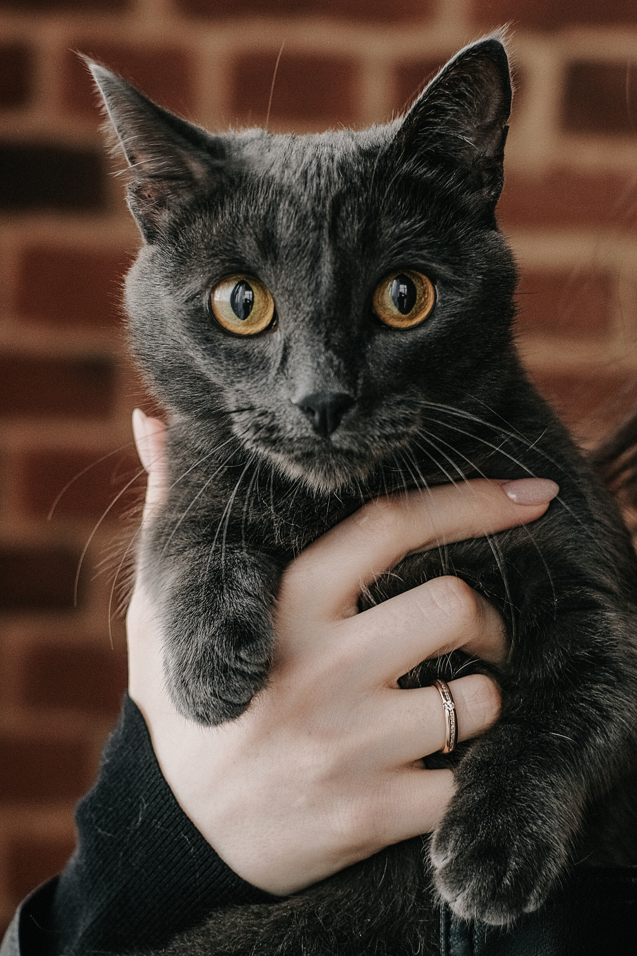 Вася и Инга. Фотограф Юрий Марилов Москва, Тюмень