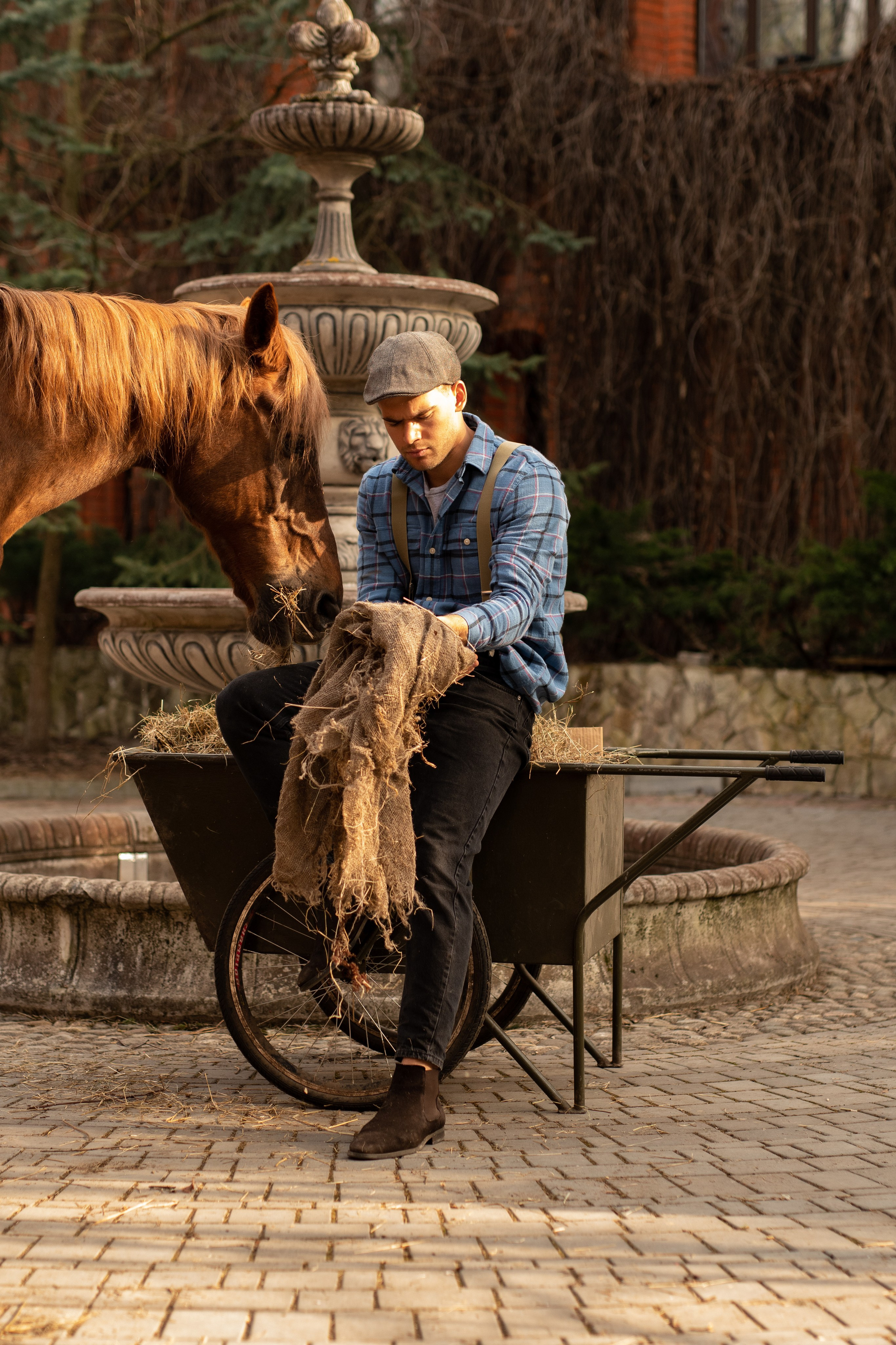 Фотосессия с лошадьми. Главная