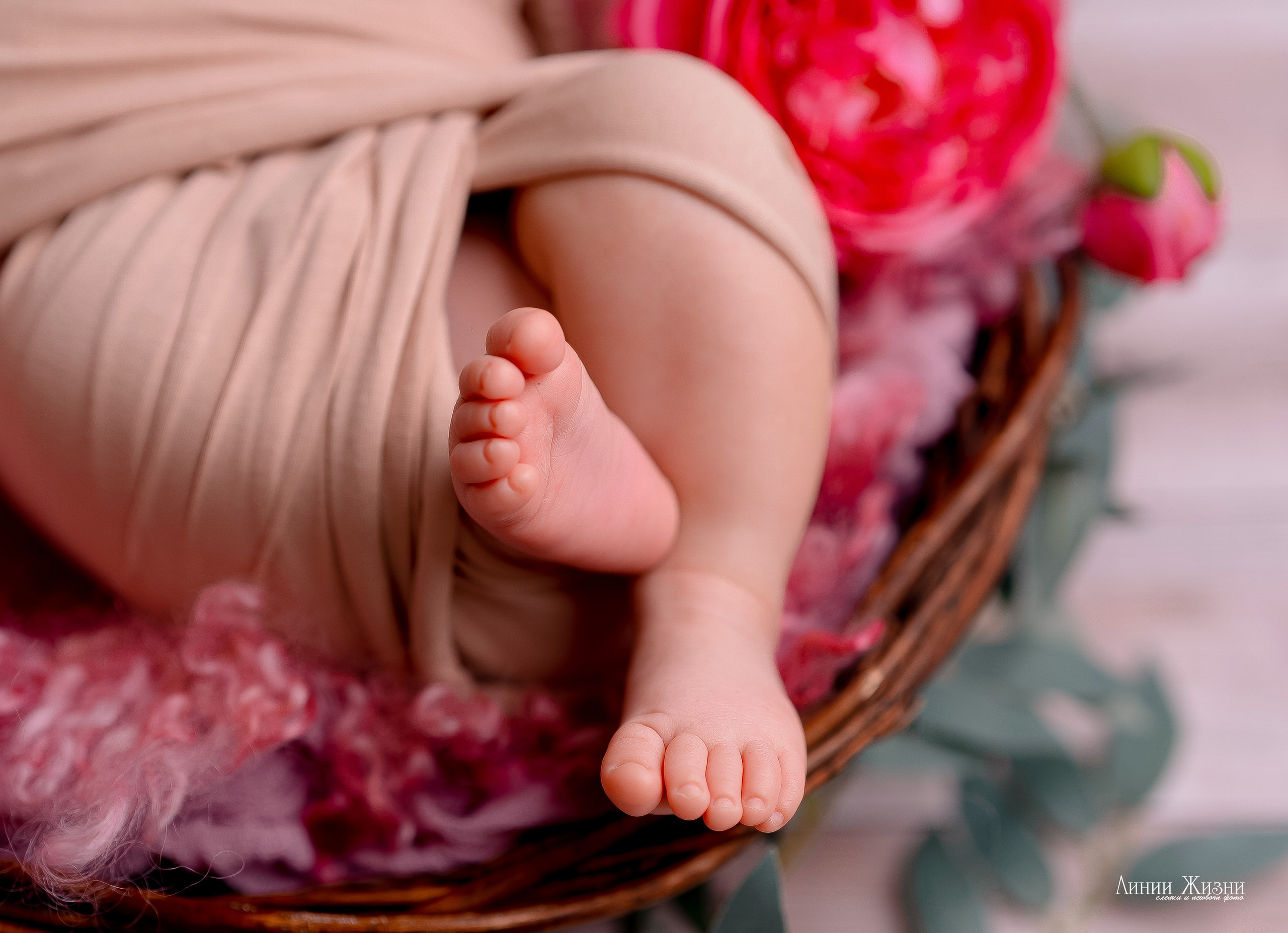 Фотосессии новорожденных студия Линии Жизни. Фотограф новорожденных в Нижнем Новгороде Сергеева Оксана