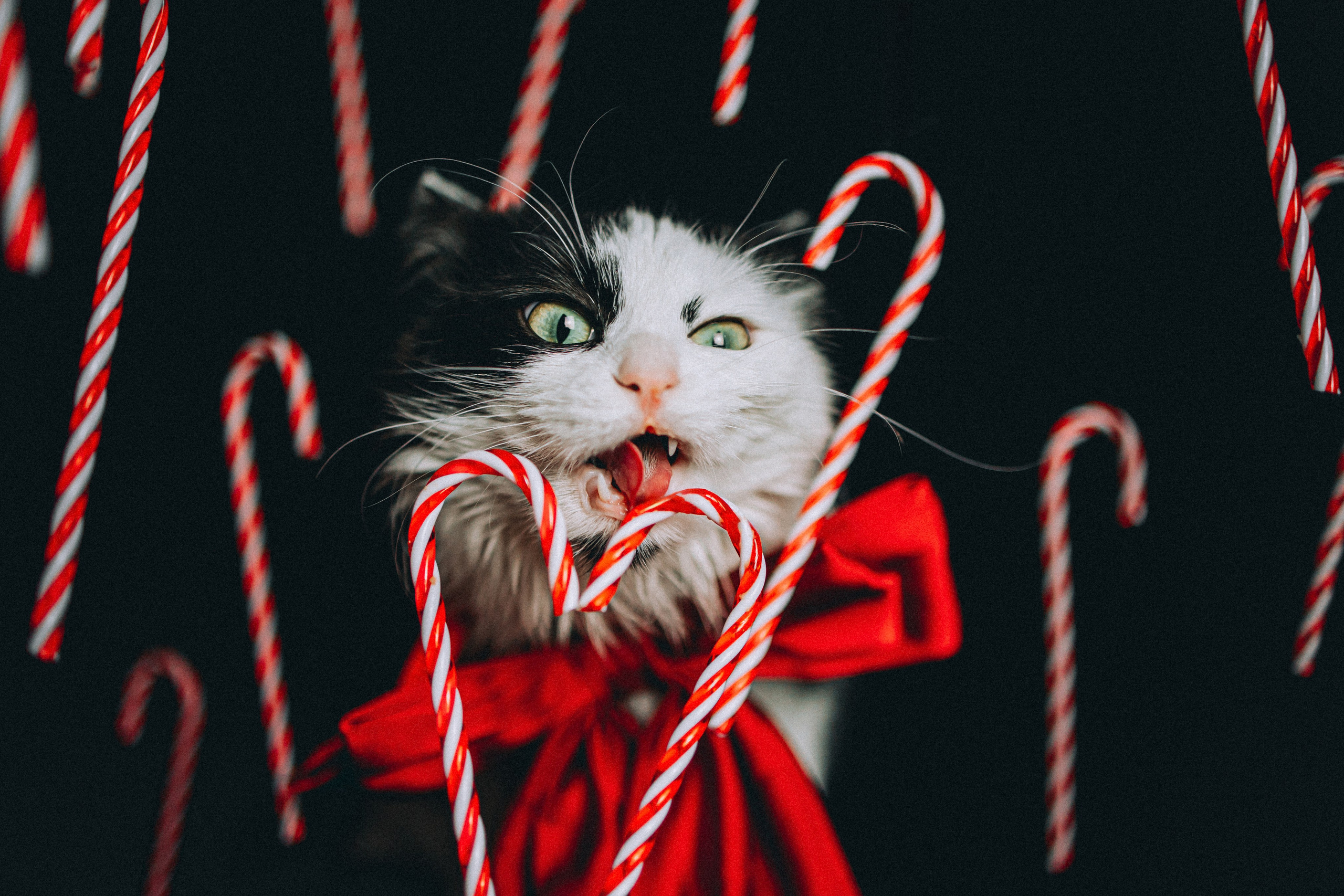 Джек, Бет и Кову