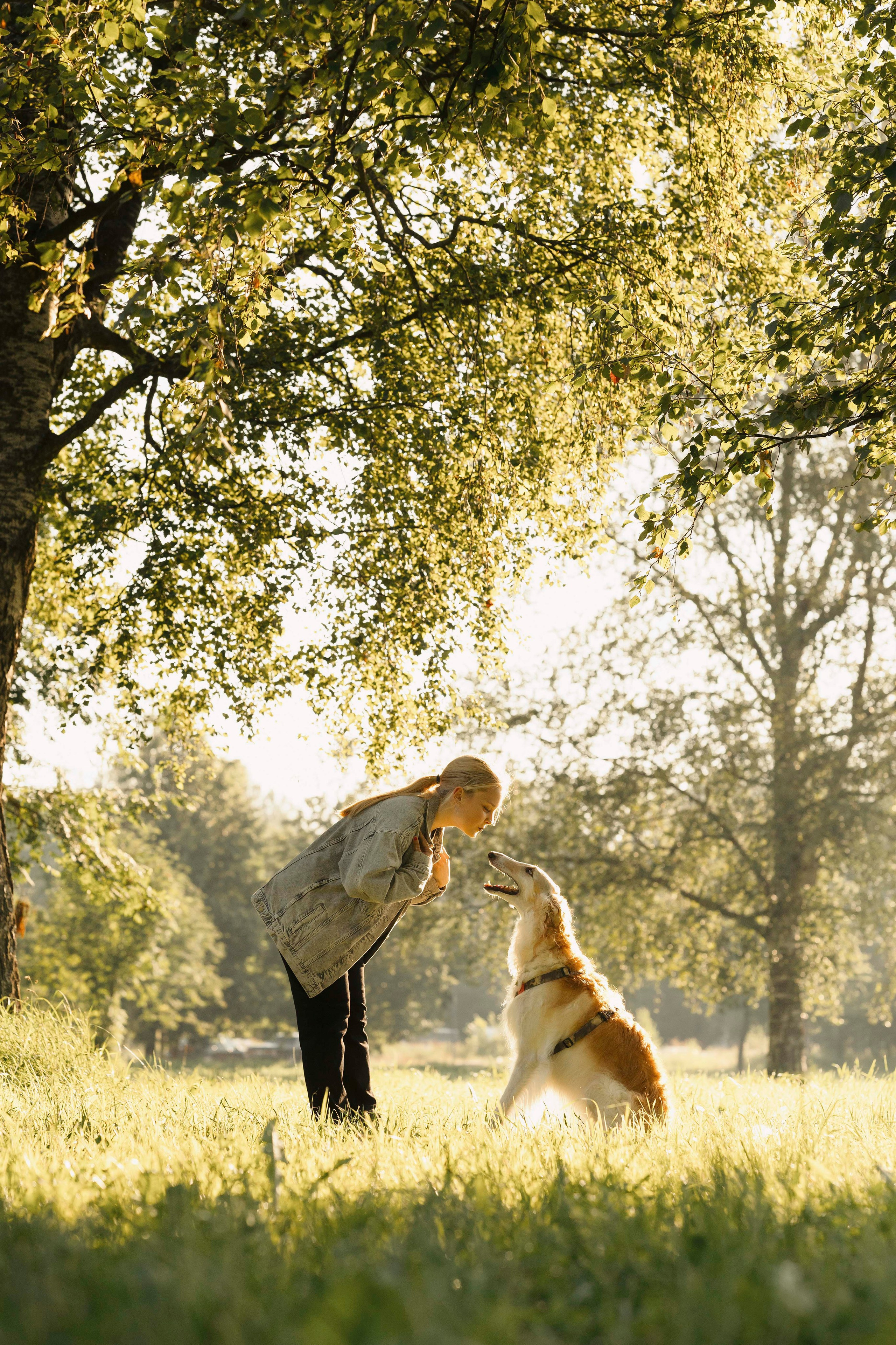 Тайга. Фотограф- анималист Александра Матвеева