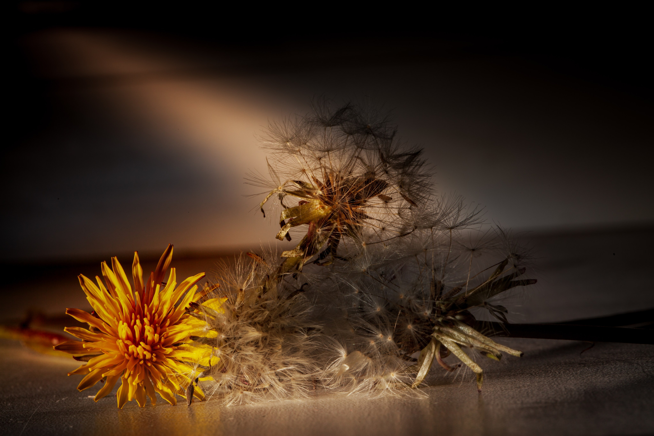 Красота вокруг нас. Медиапродюсер, фотограф в Минеральных Водах —Виктор Холодов