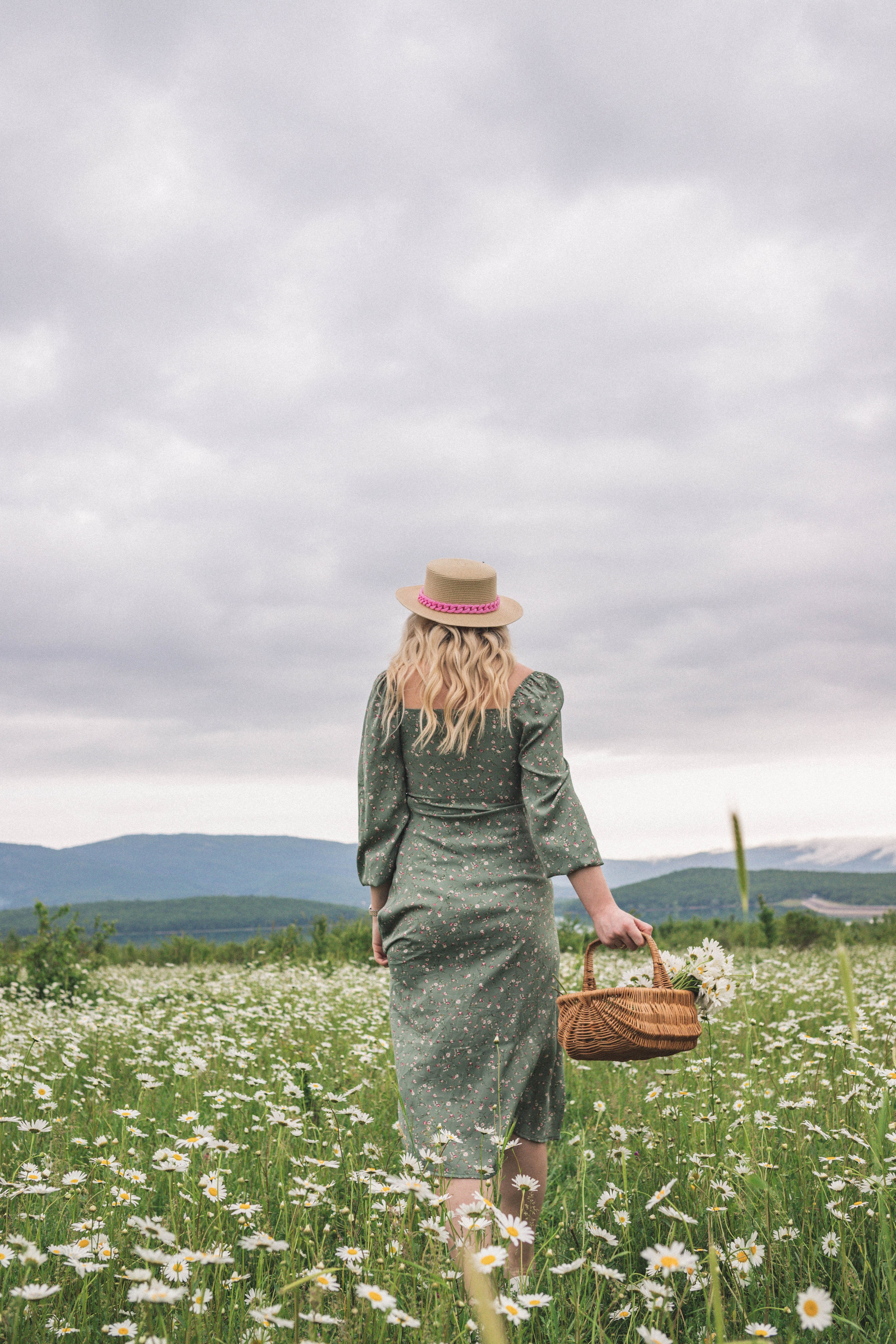 РОМАШКИ. Фотограф Немазенко Ольга