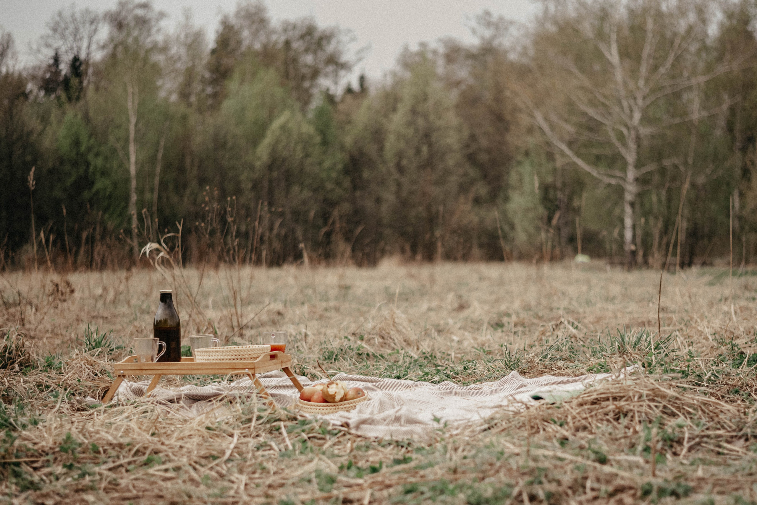 Прогулка с любимыми. Фотоссесия на природе. Семейный фотограф в Железнодорожном Масаева Елена