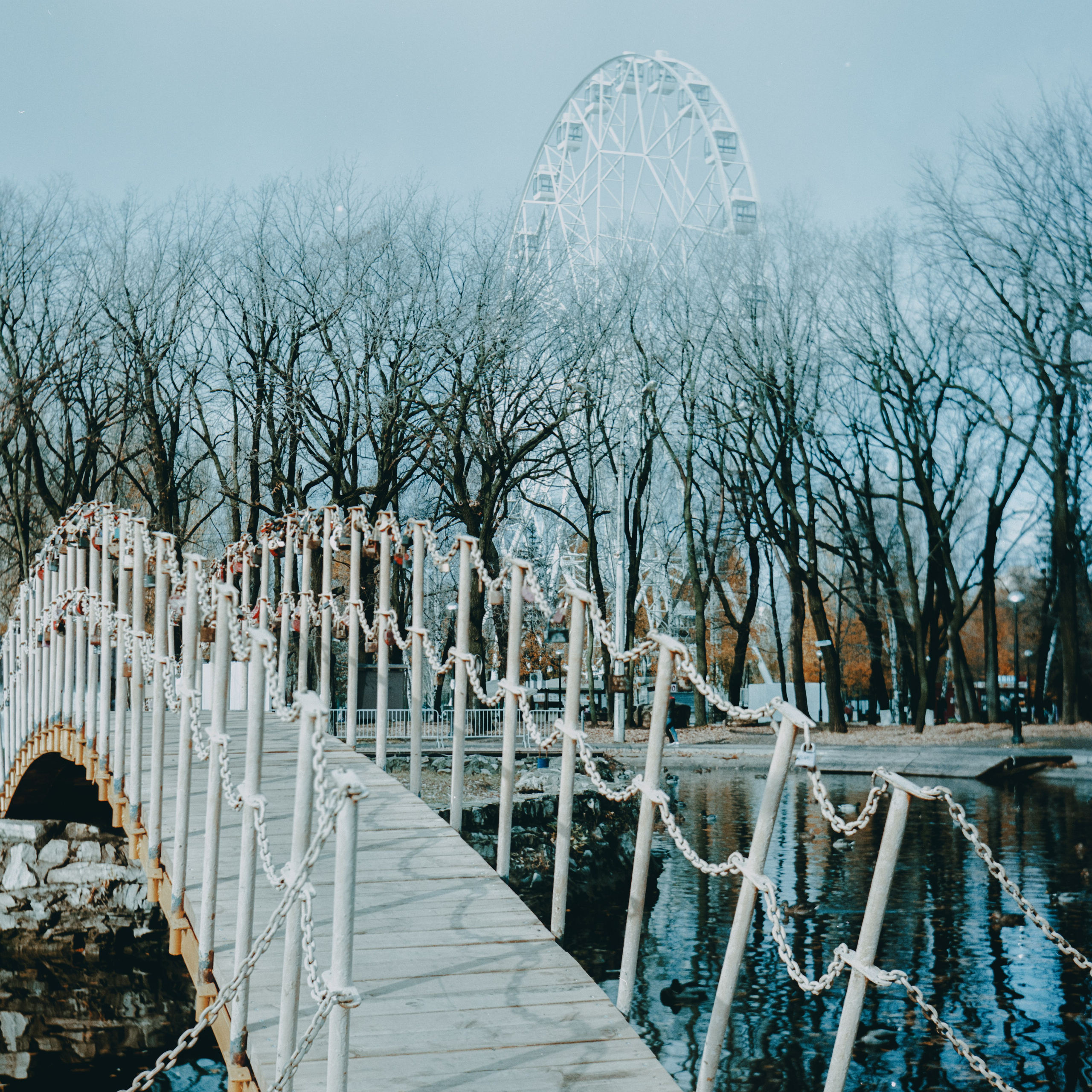 Пленочная история. Дмитрий Пропадалин, Нейрофотография
