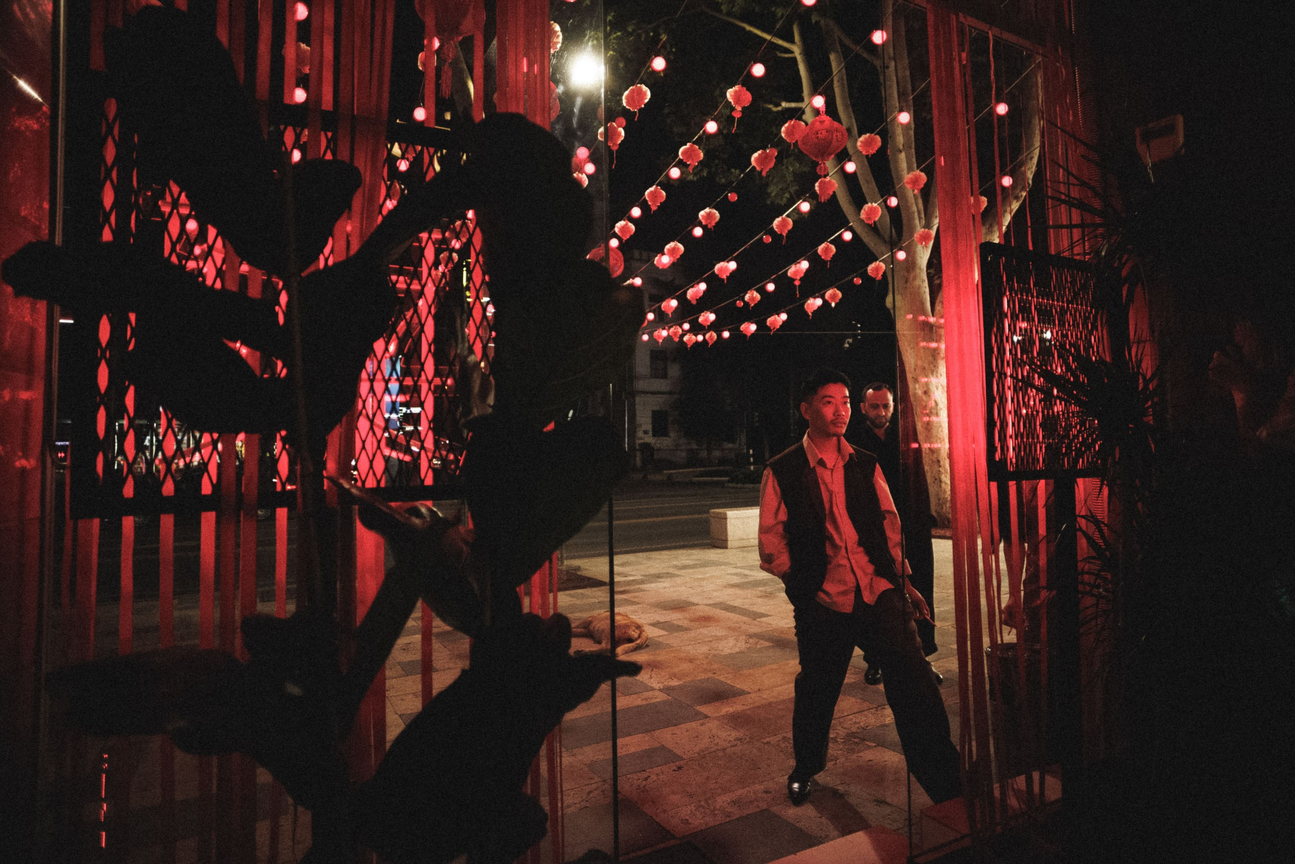 Behind the scene. Bivol images