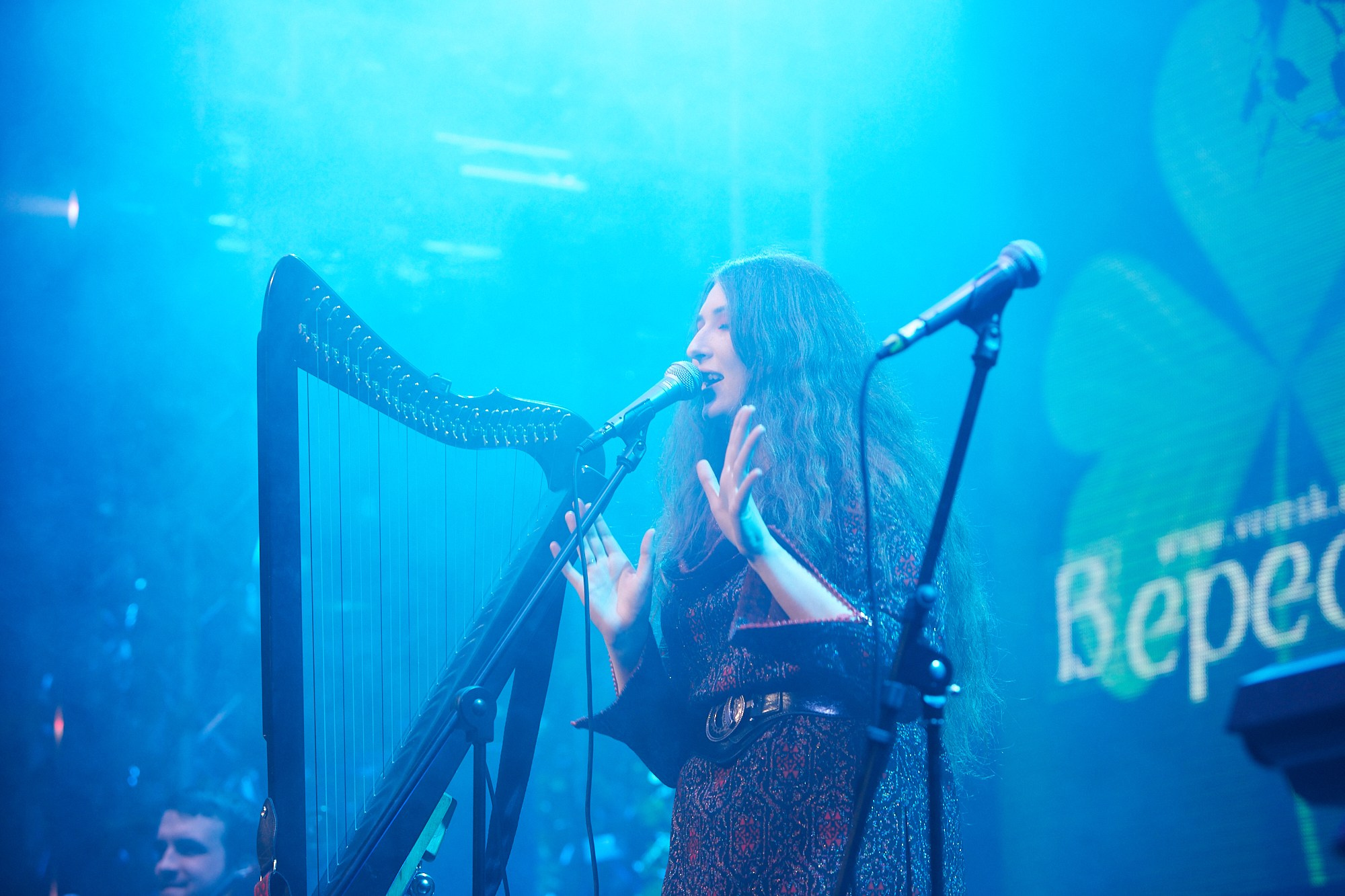 Репортаж фестиваля День Святого Патрика. Екатерина Осипова — профессиональный фотограф в Москве