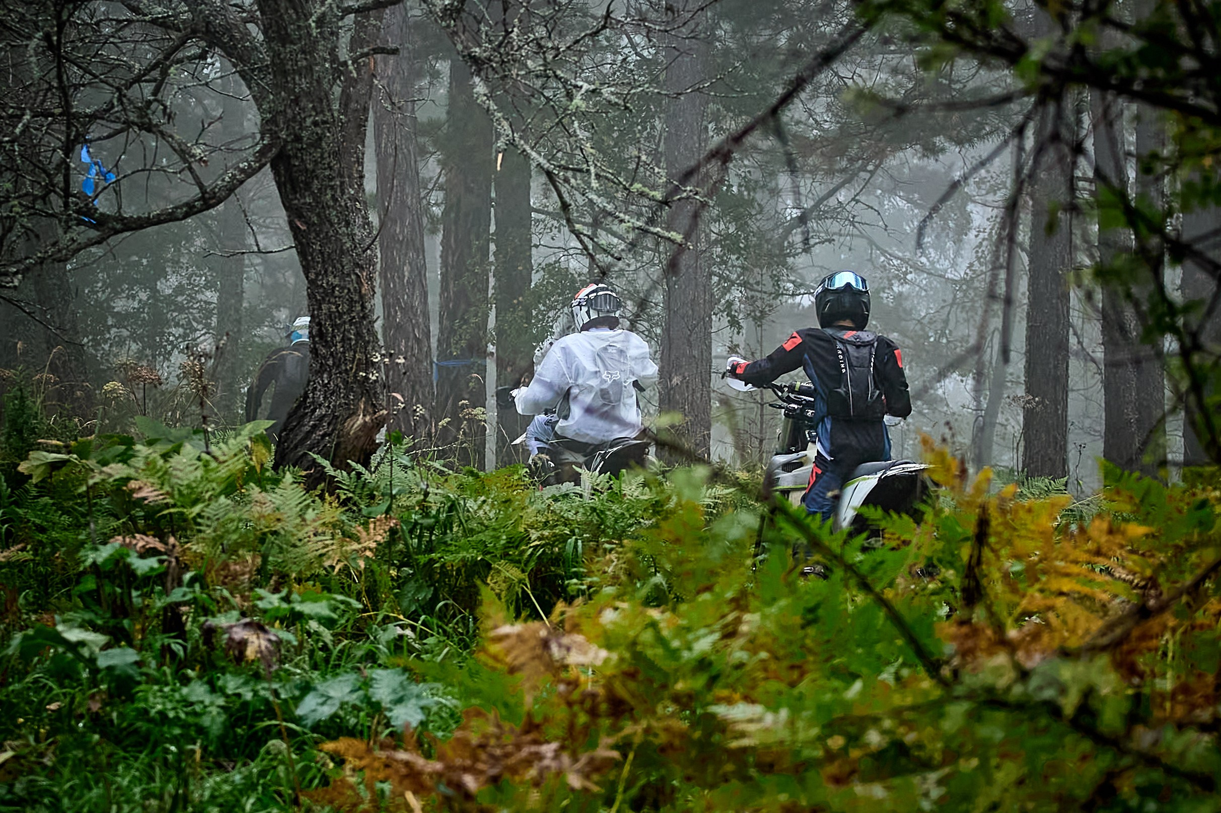 БУРЕЛОМ 2025 чемпионат Сибири по Эндуро. Фотограф Москва Concerts photo / Fashion photо