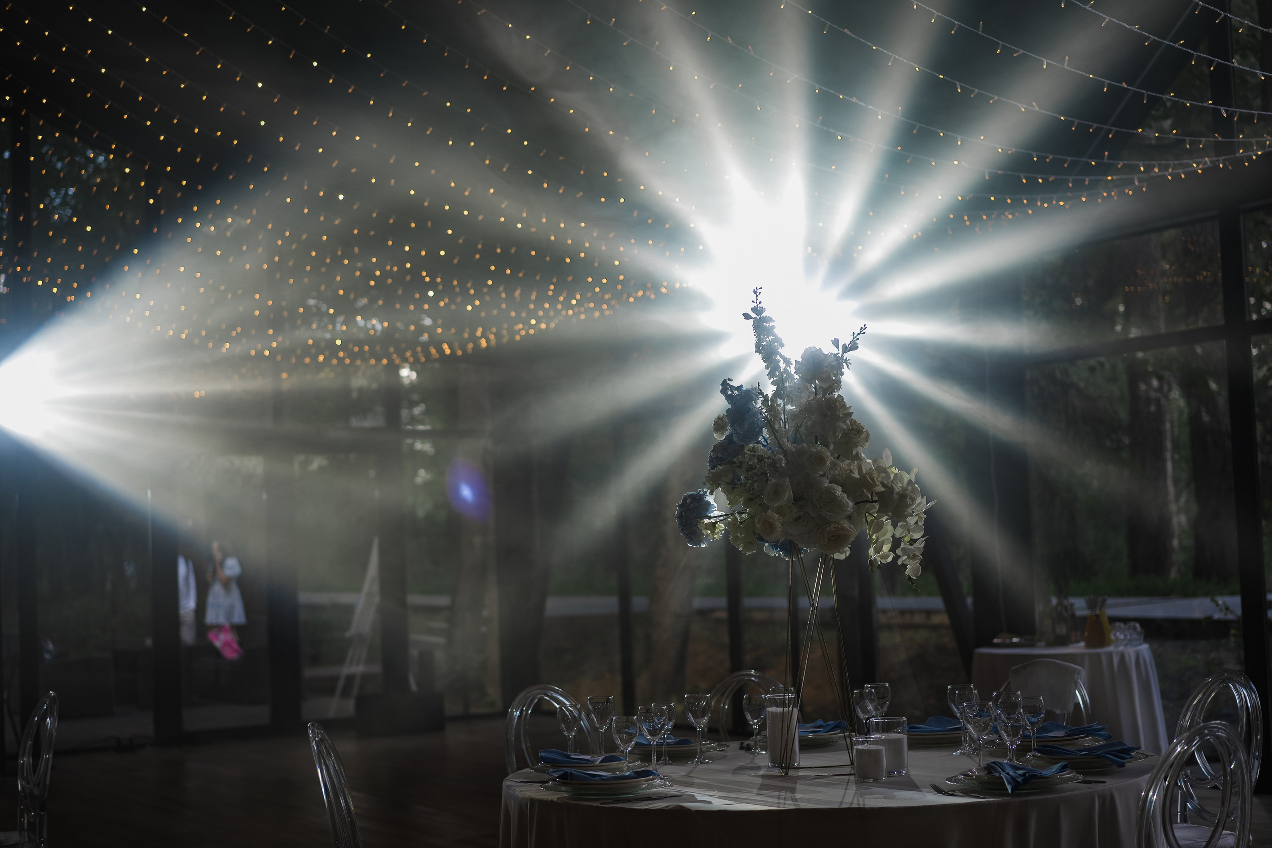 Veronika&Nikita. Валерия Солнцева свадебный и семейный фотограф