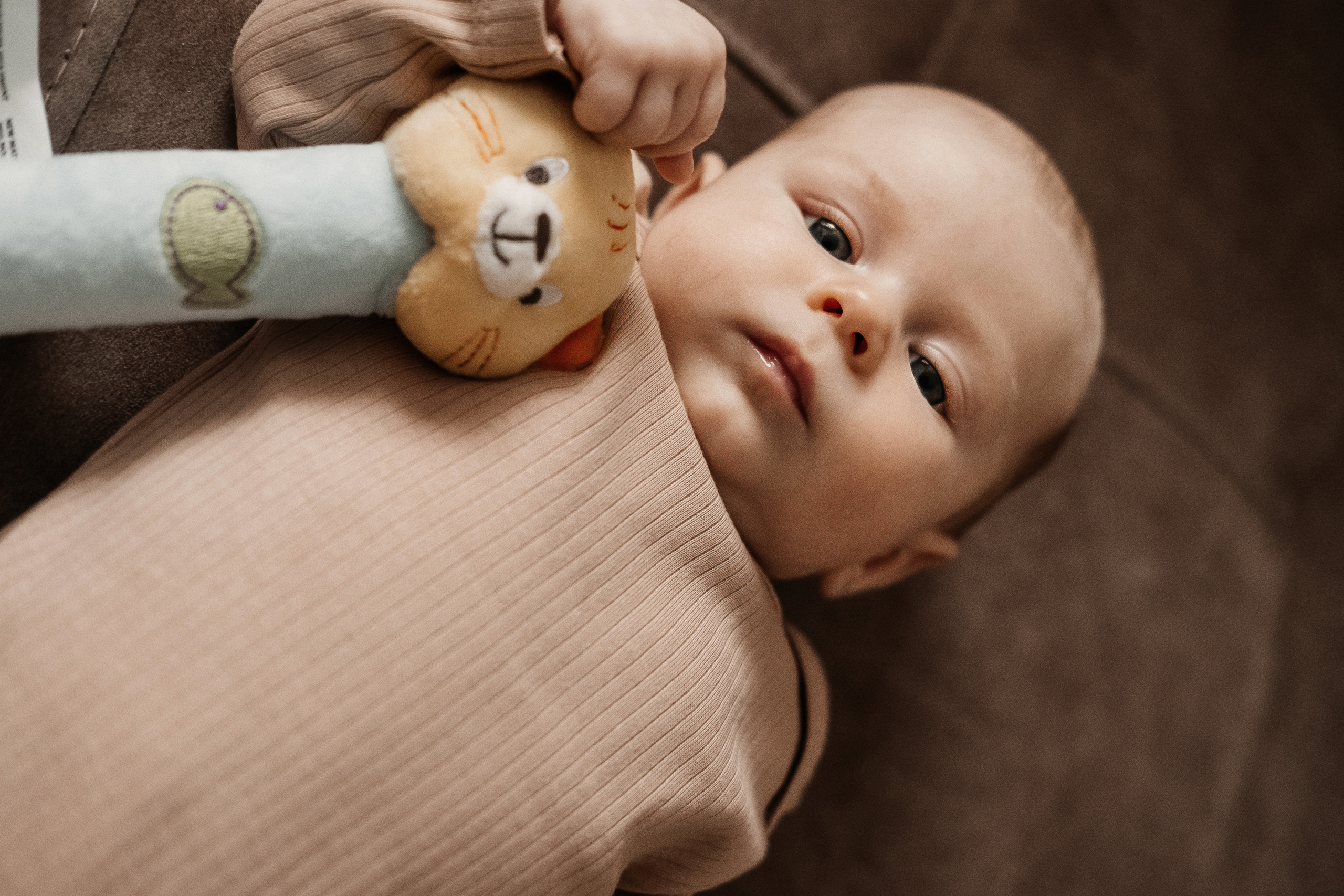 Платон. Семейный и свадебный фотограф Новосибирск