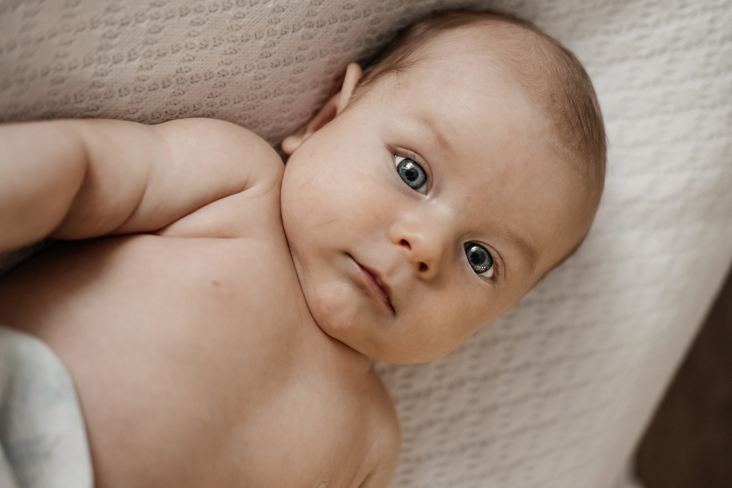 Платон. Семейный и свадебный фотограф Новосибирск