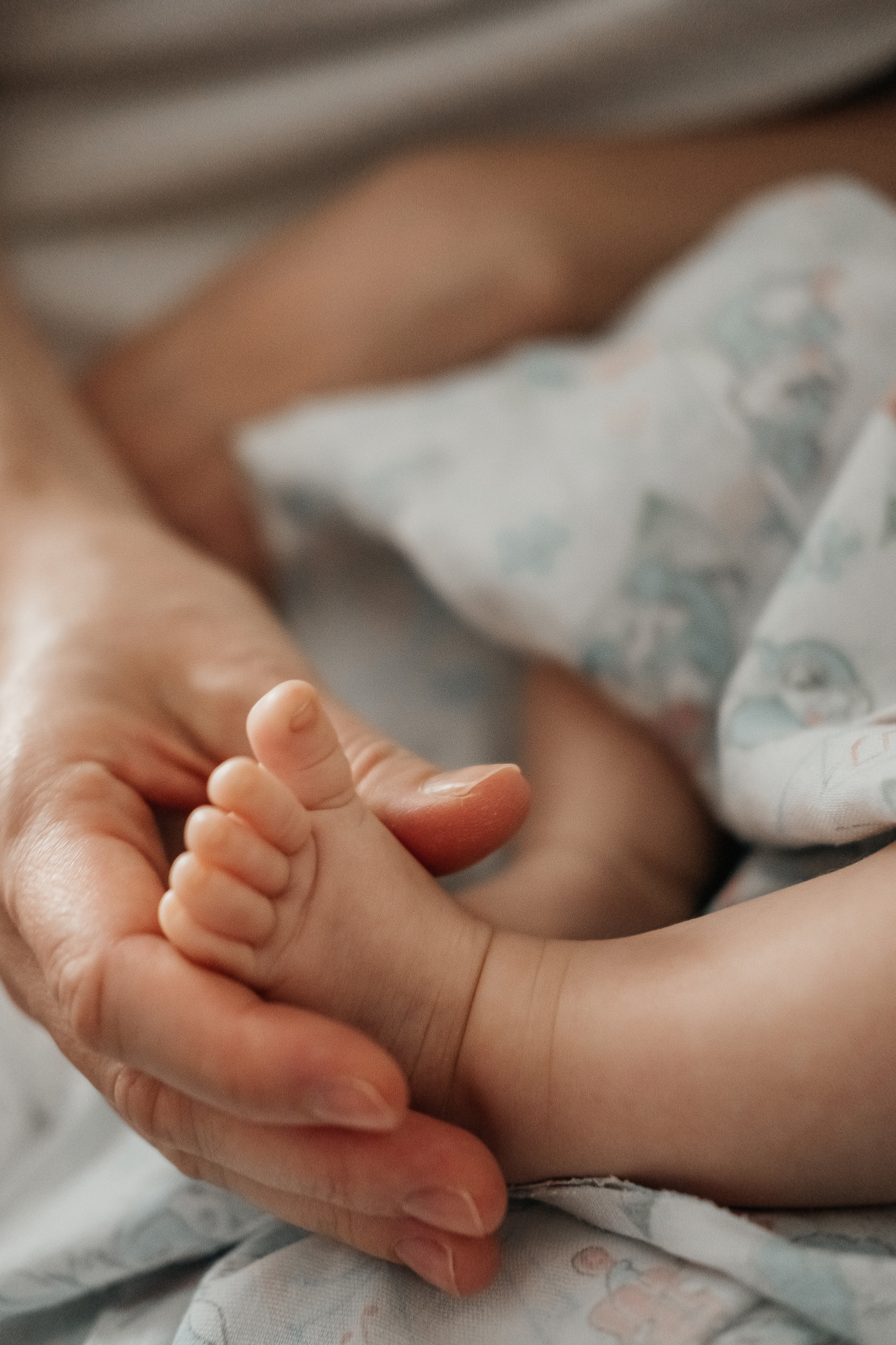 Платон. Семейный и свадебный фотограф Новосибирск